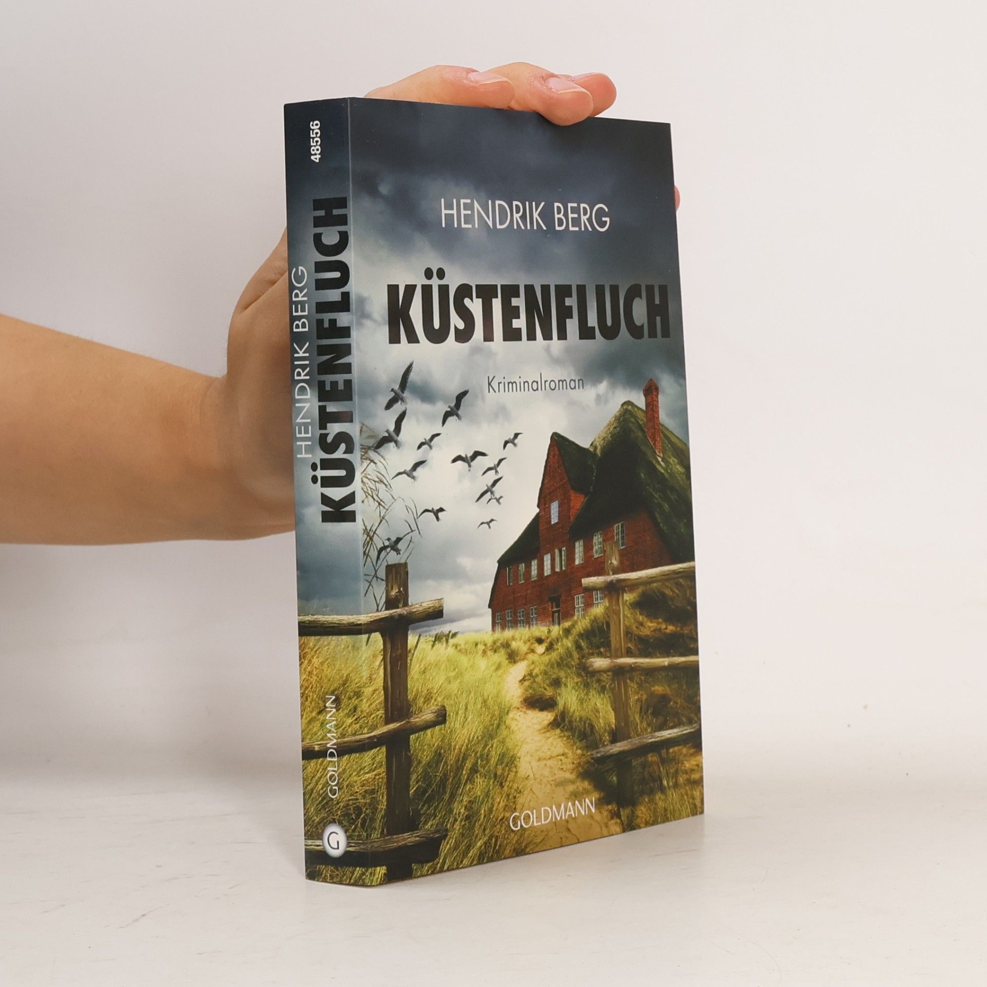 Hendrik Berg Küstenfluch