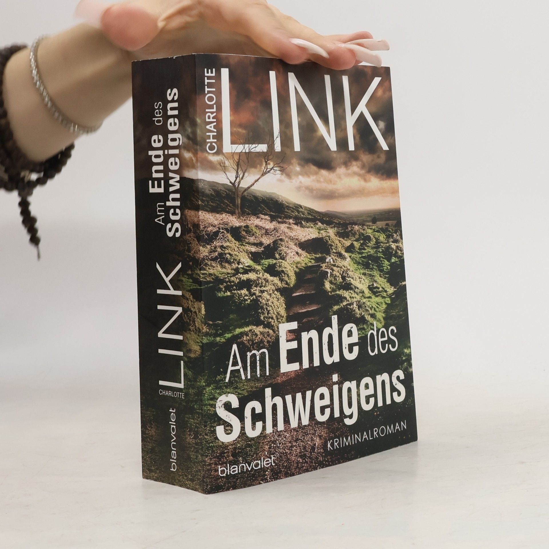Charlotte Link Am Ende des Schweigens