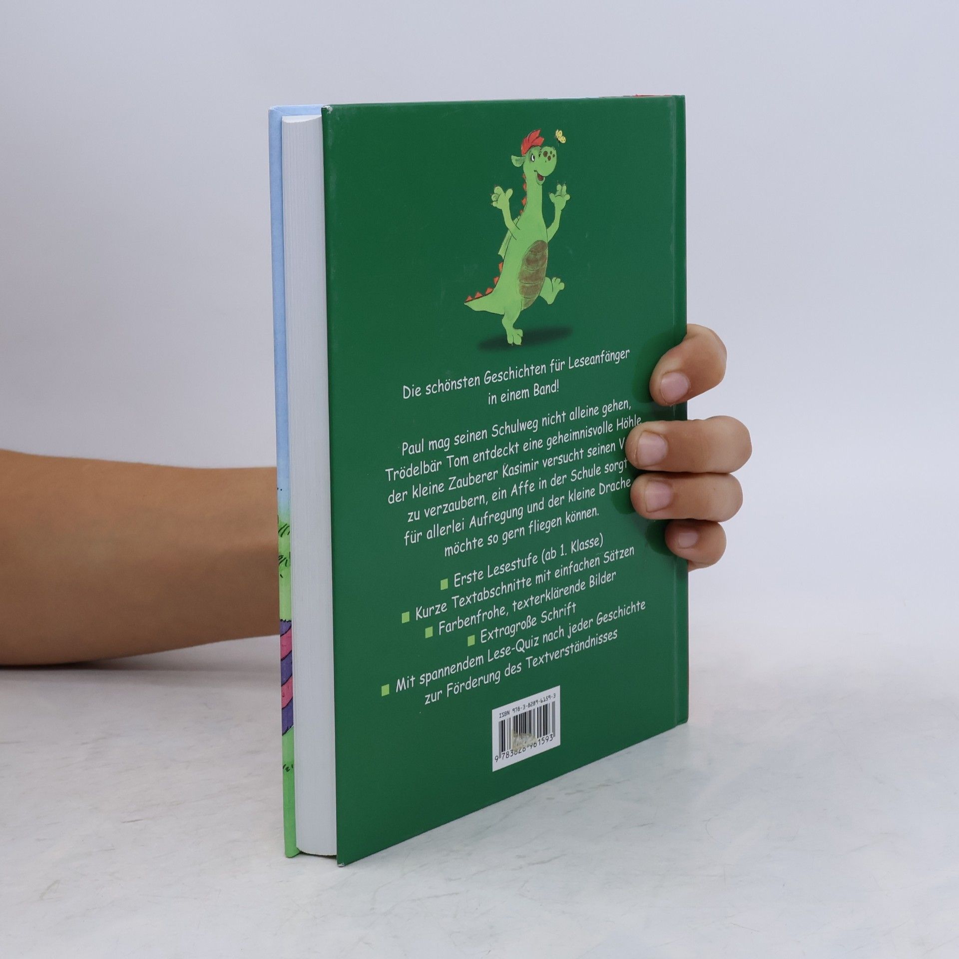 Das dicke Geschichtenbuch für Erstleser