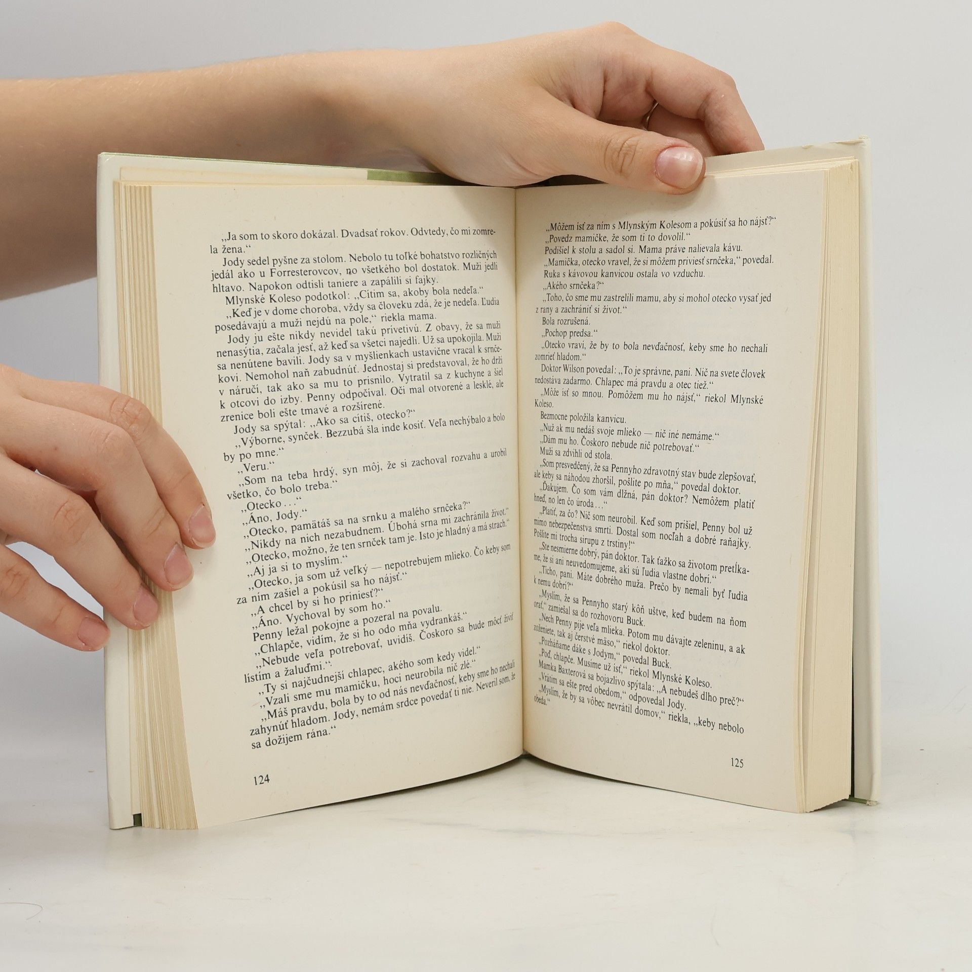 Marjorie Kinnan Rawlings Dieťa divočiny