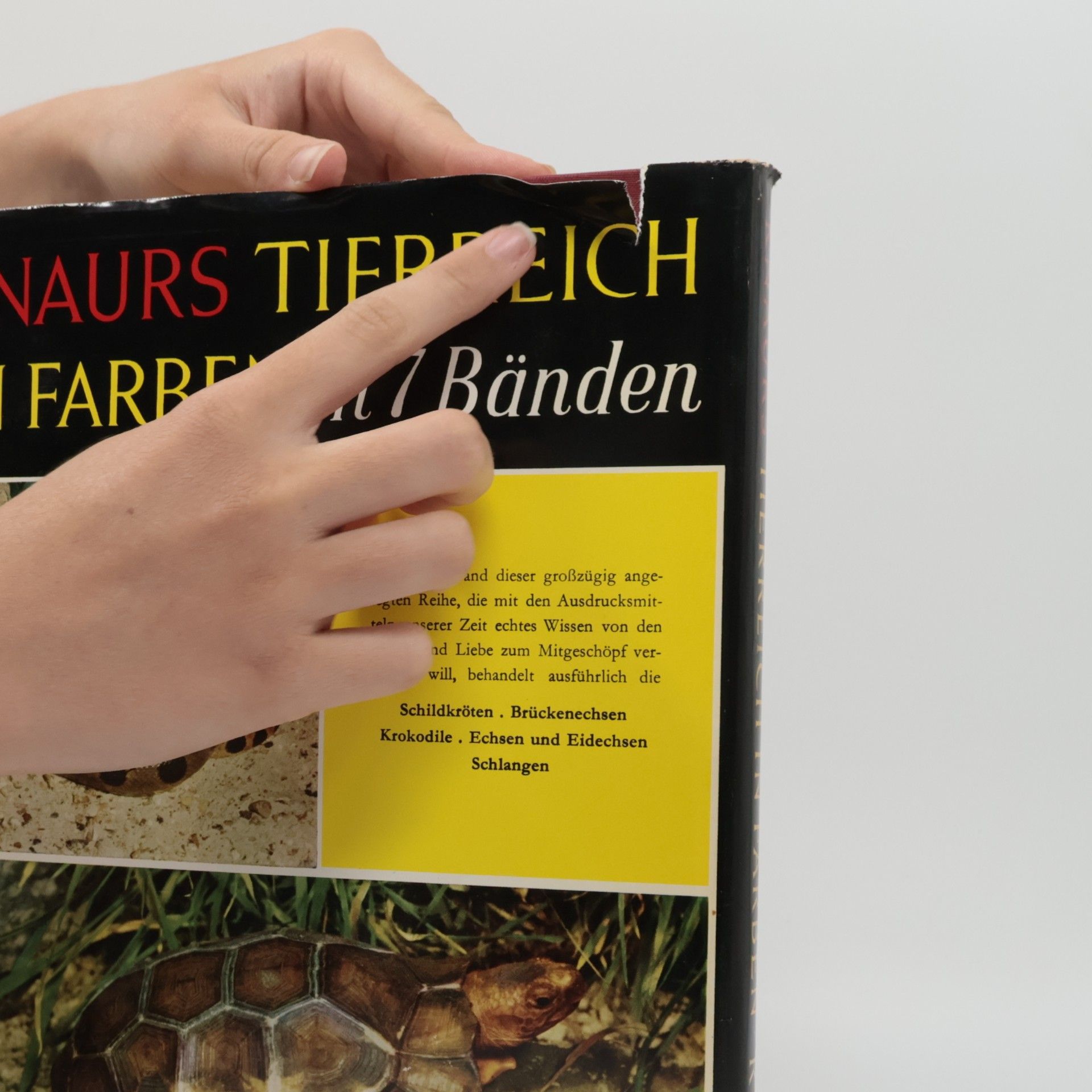 Karl Patterson Schmidt Reptilien