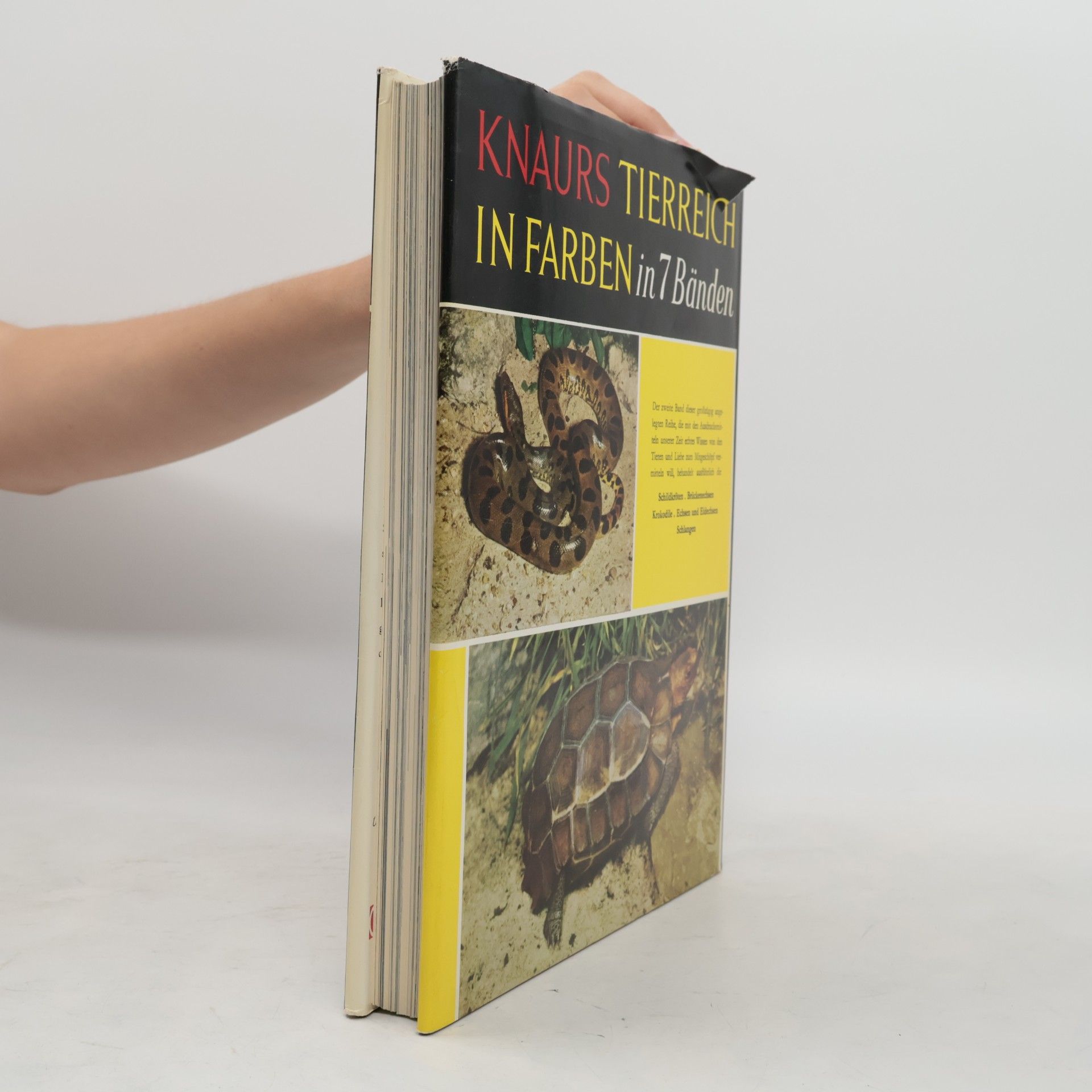 Karl Patterson Schmidt Reptilien