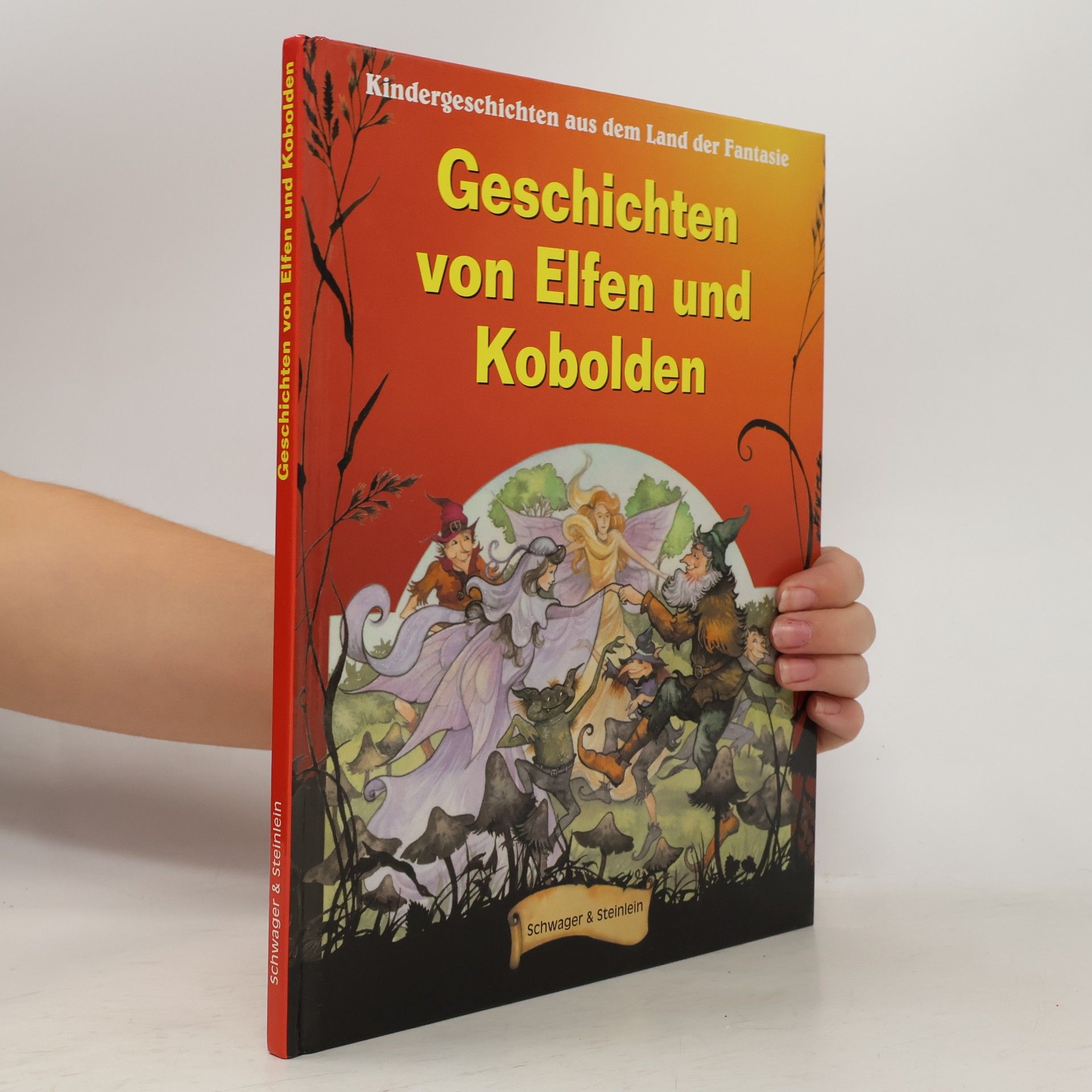 Jane Launchbury Geschichten von Elfen und Kobolden