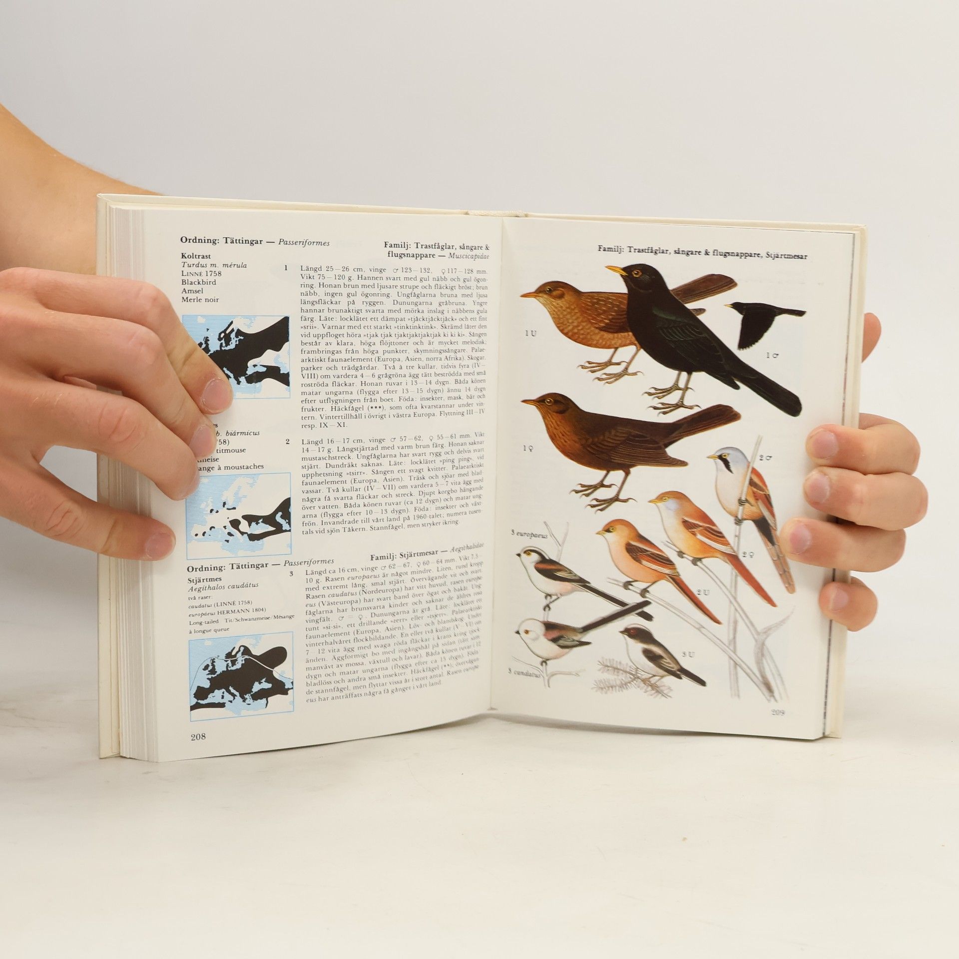 Walter Černý Fågelhandboken
