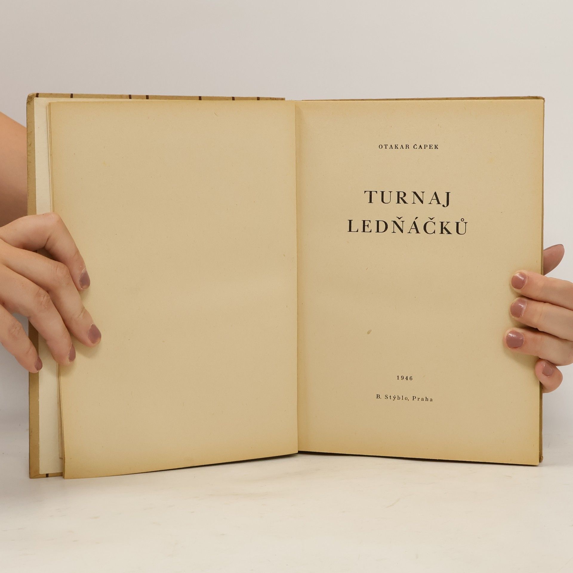 Otakar Čapek Turnaj Ledňáčků