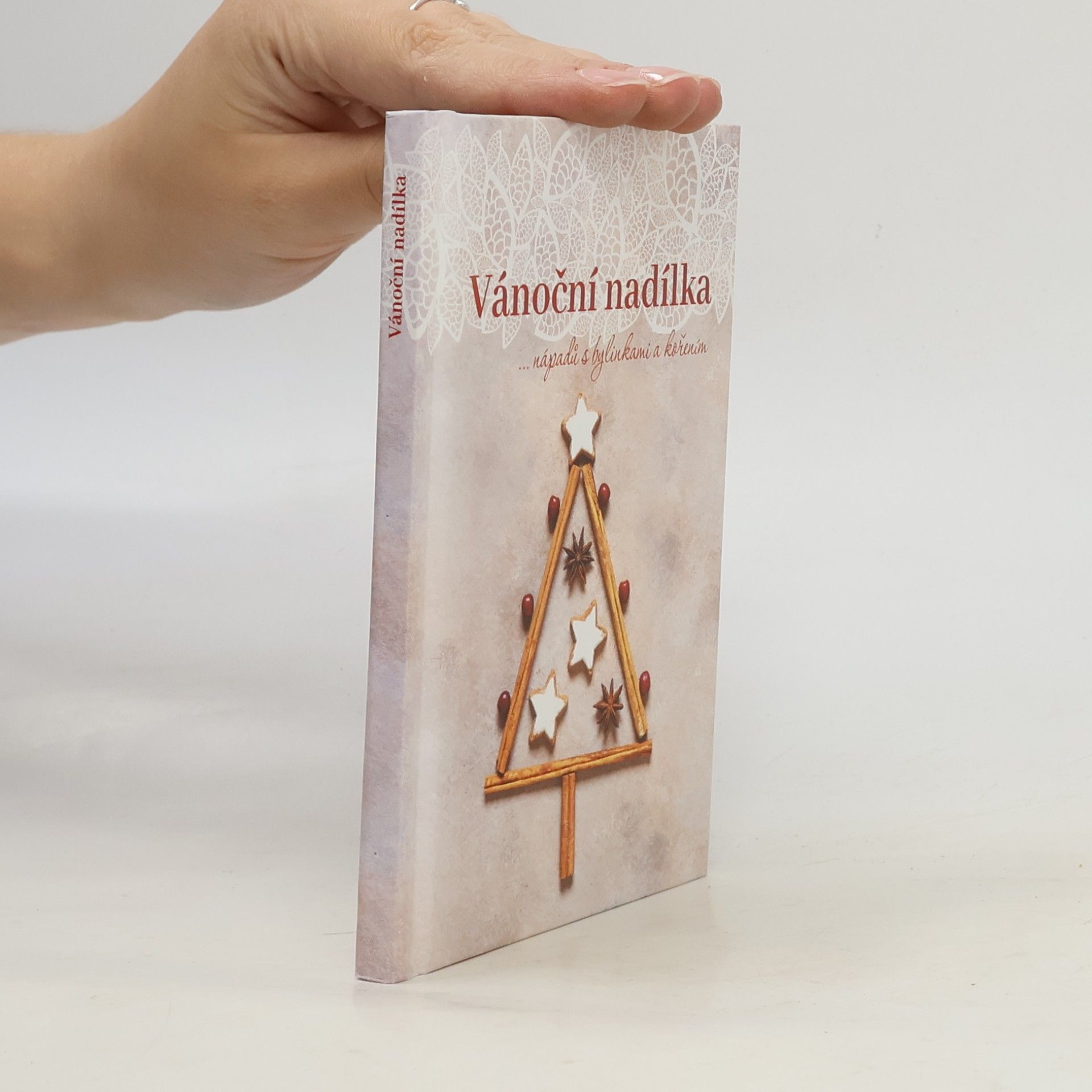 Dagmar Pinkasová Vánoční nadílka...nápadů s bylinkami a kořením