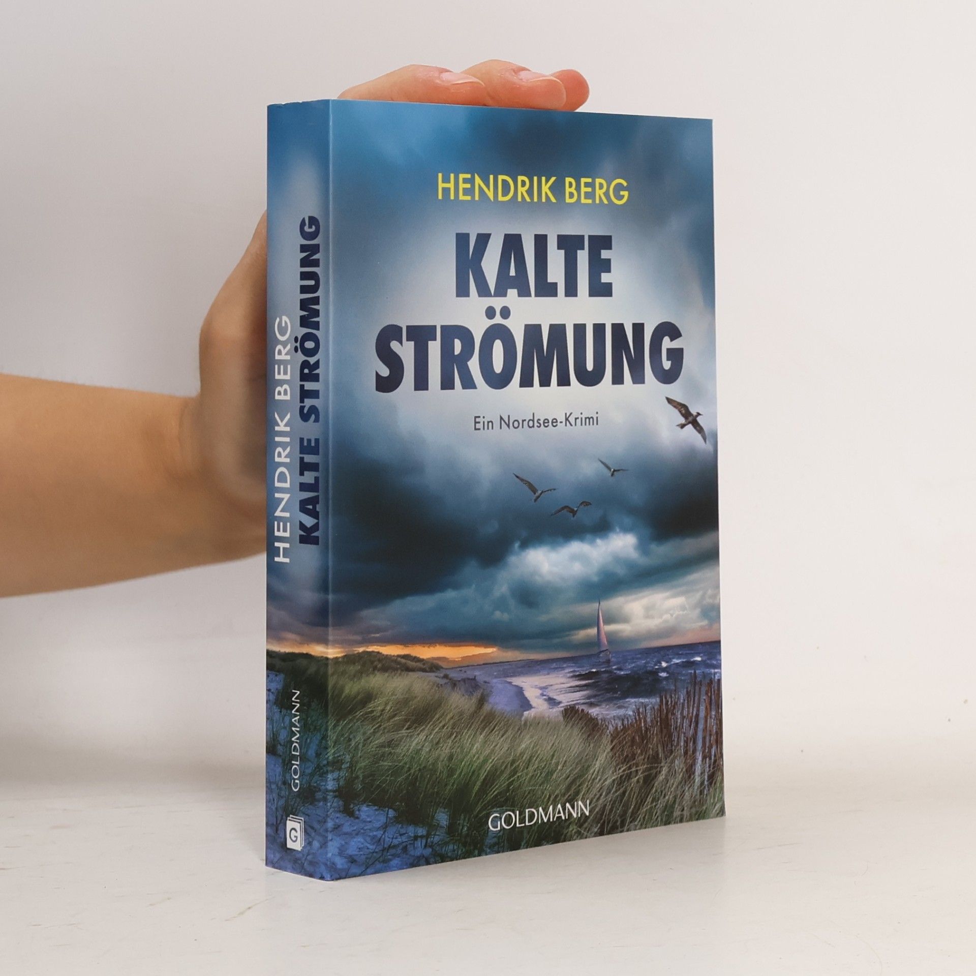 Hendrik Berg Kalte Strömung