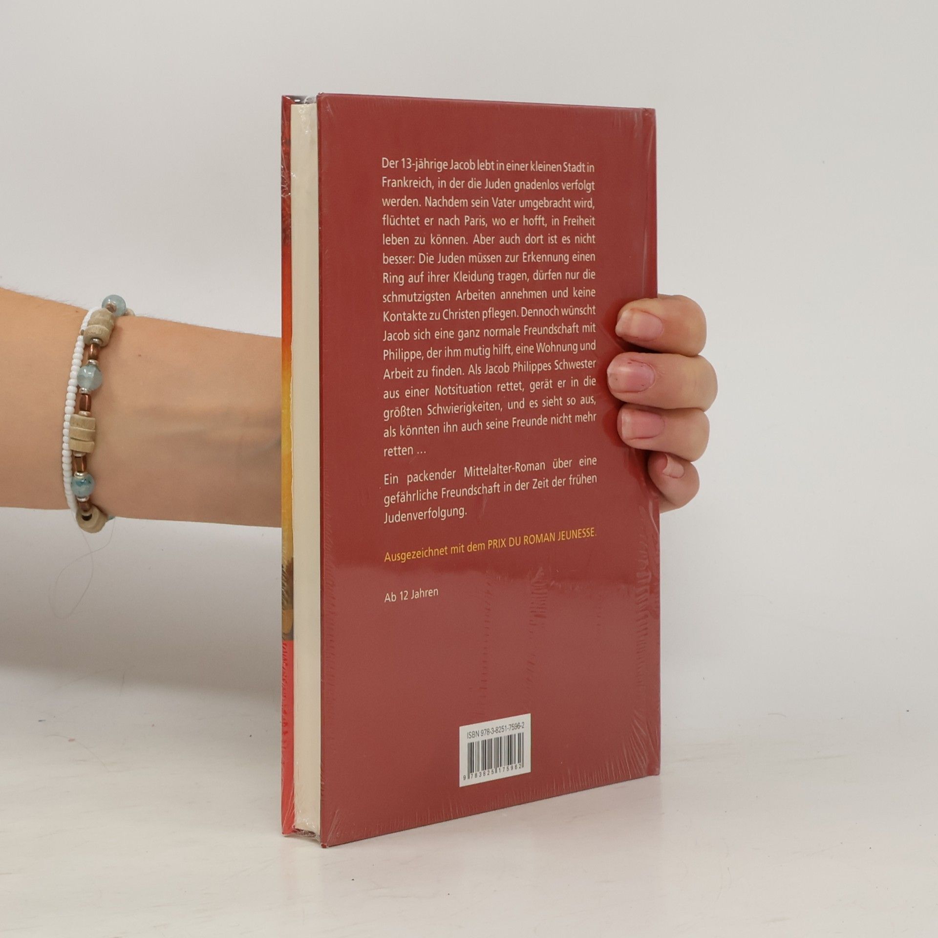 Anne Pouget Verbotene Freundschaft