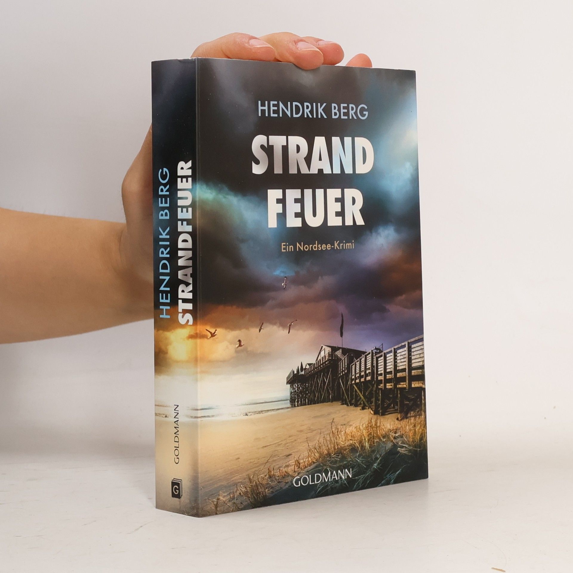 Hendrik Berg Strandfeuer