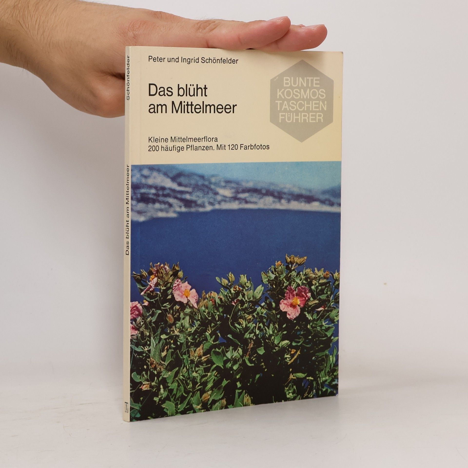 Peter Schönfelder Das blüht am Mittelmeer