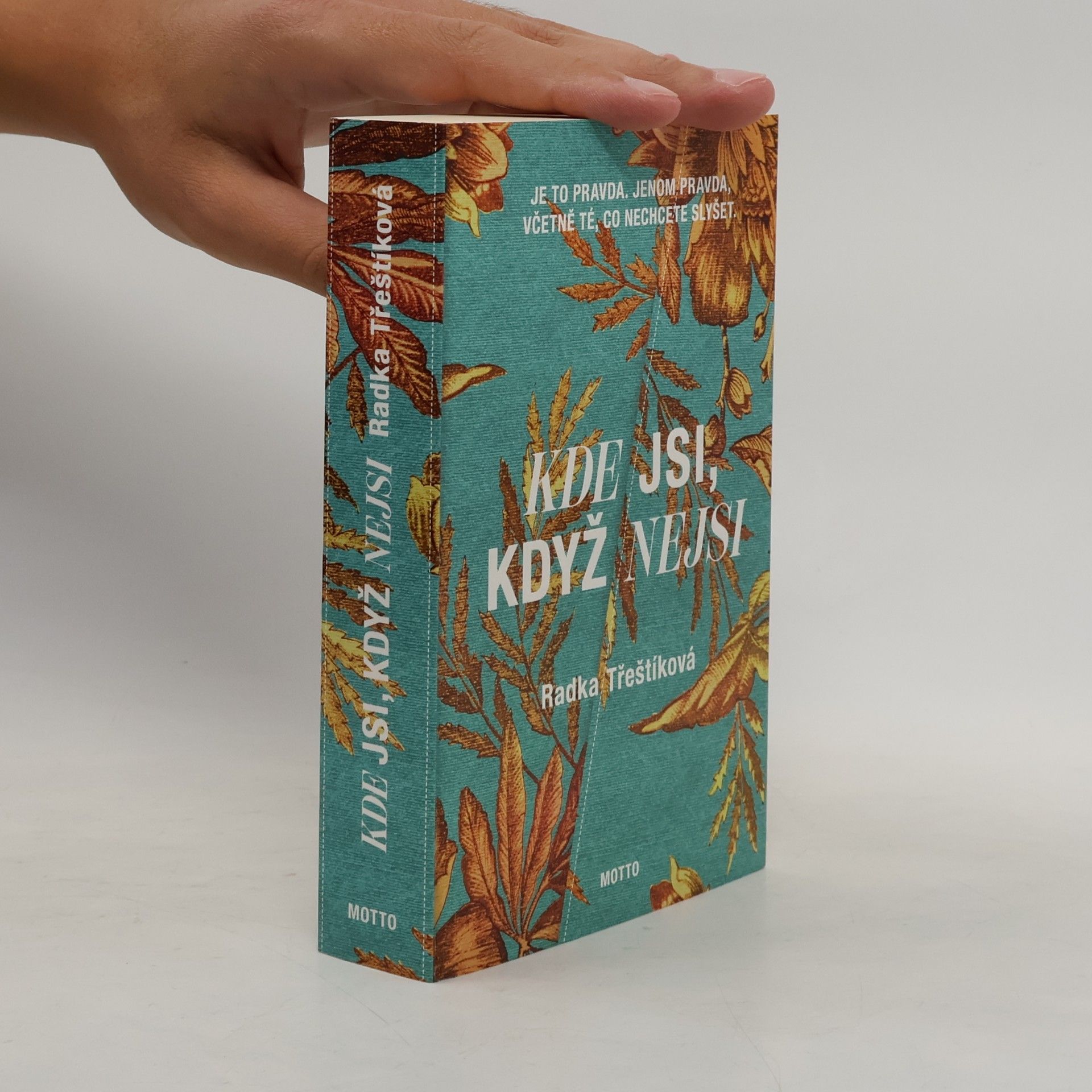 Radka Třeštíková Kde jsi, když nejsi