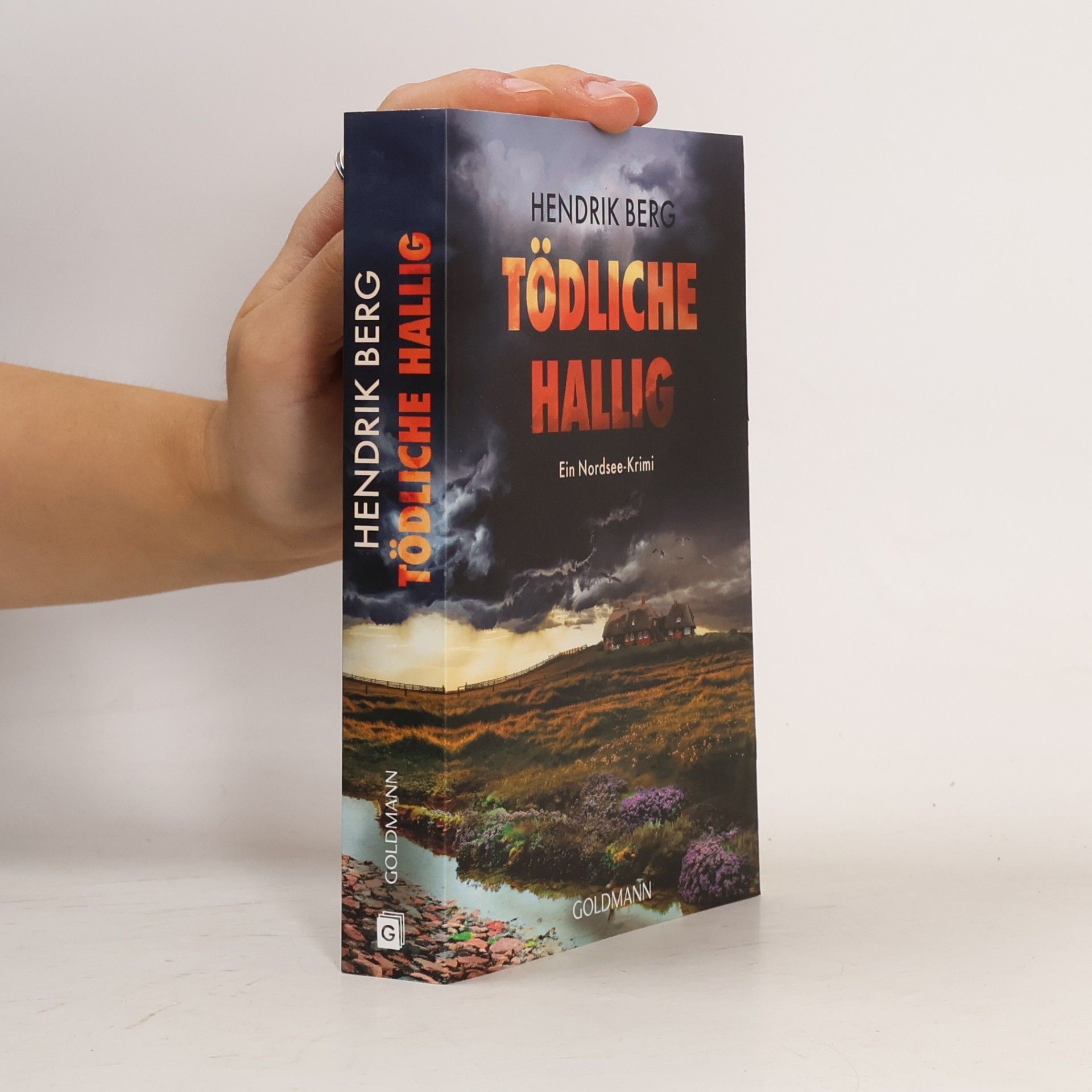 Hendrik Berg Ein Fall für Theo Krumme - 12: Tödliche Hallig
