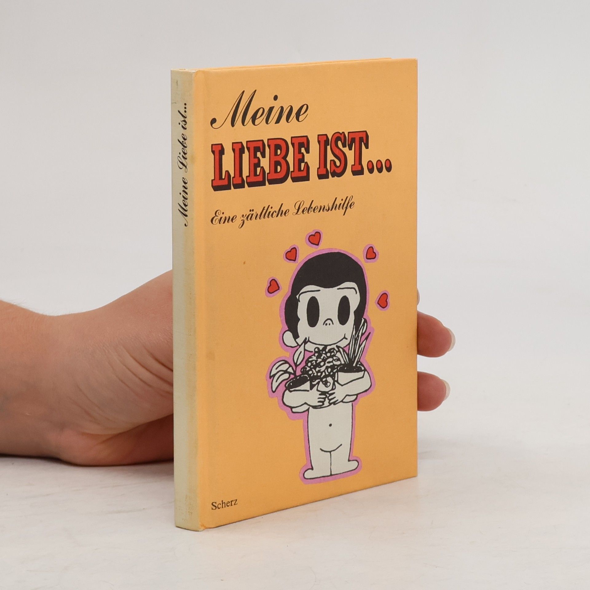 Autorenkollektiv Meine Liebe ist...