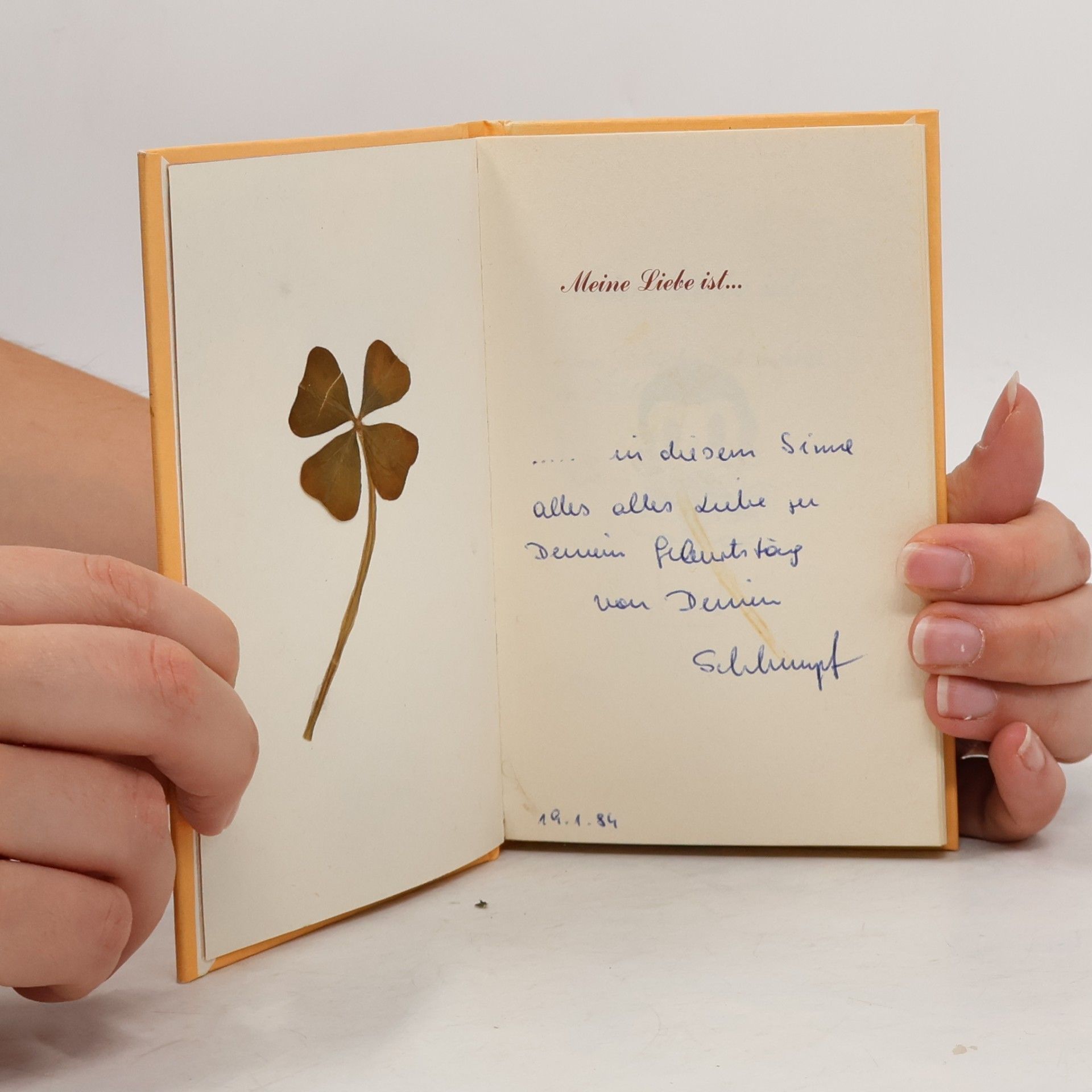 Autorenkollektiv Meine Liebe ist...