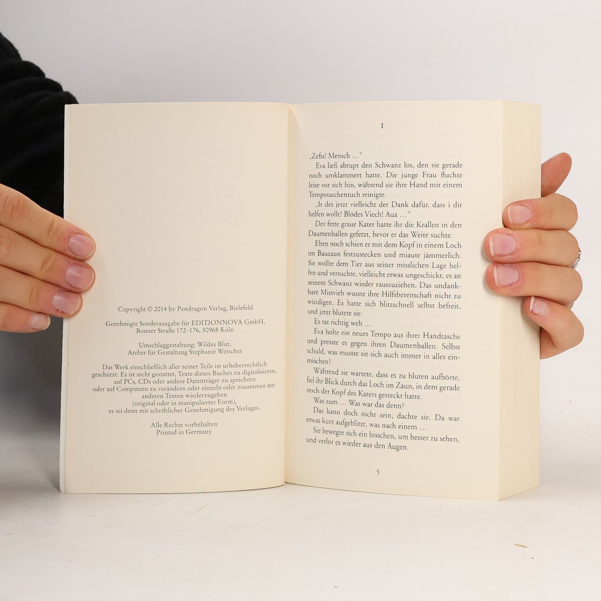 Thomas Bogenberger Hattinger und der Nebel