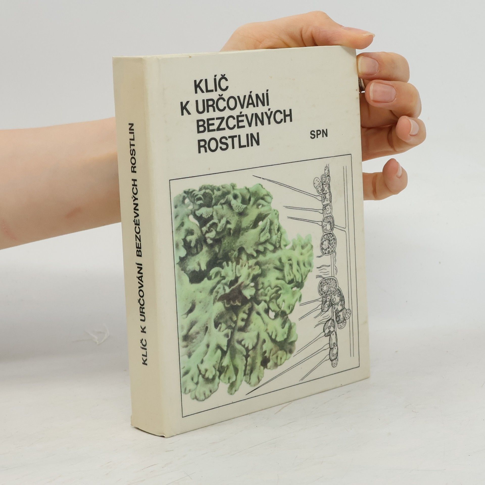 Mirko Svrček Klíč k určování bezcévných rostlin