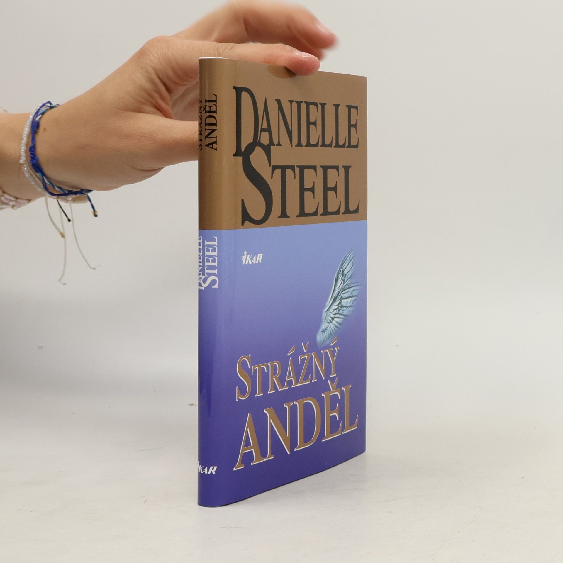 Danielle Steel Strážný anděl