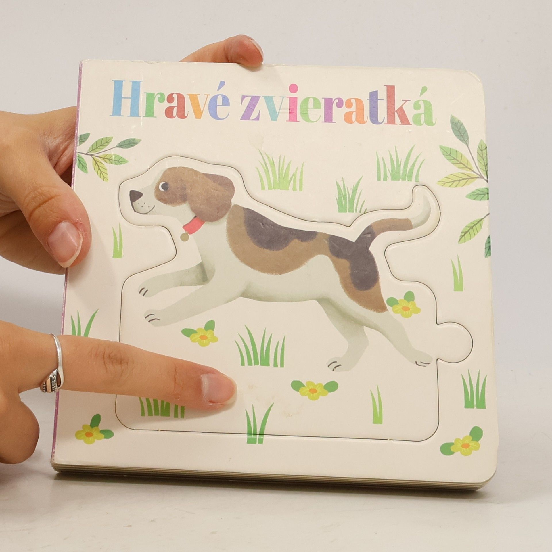 Collectif d'auteurs Hravé zviratká