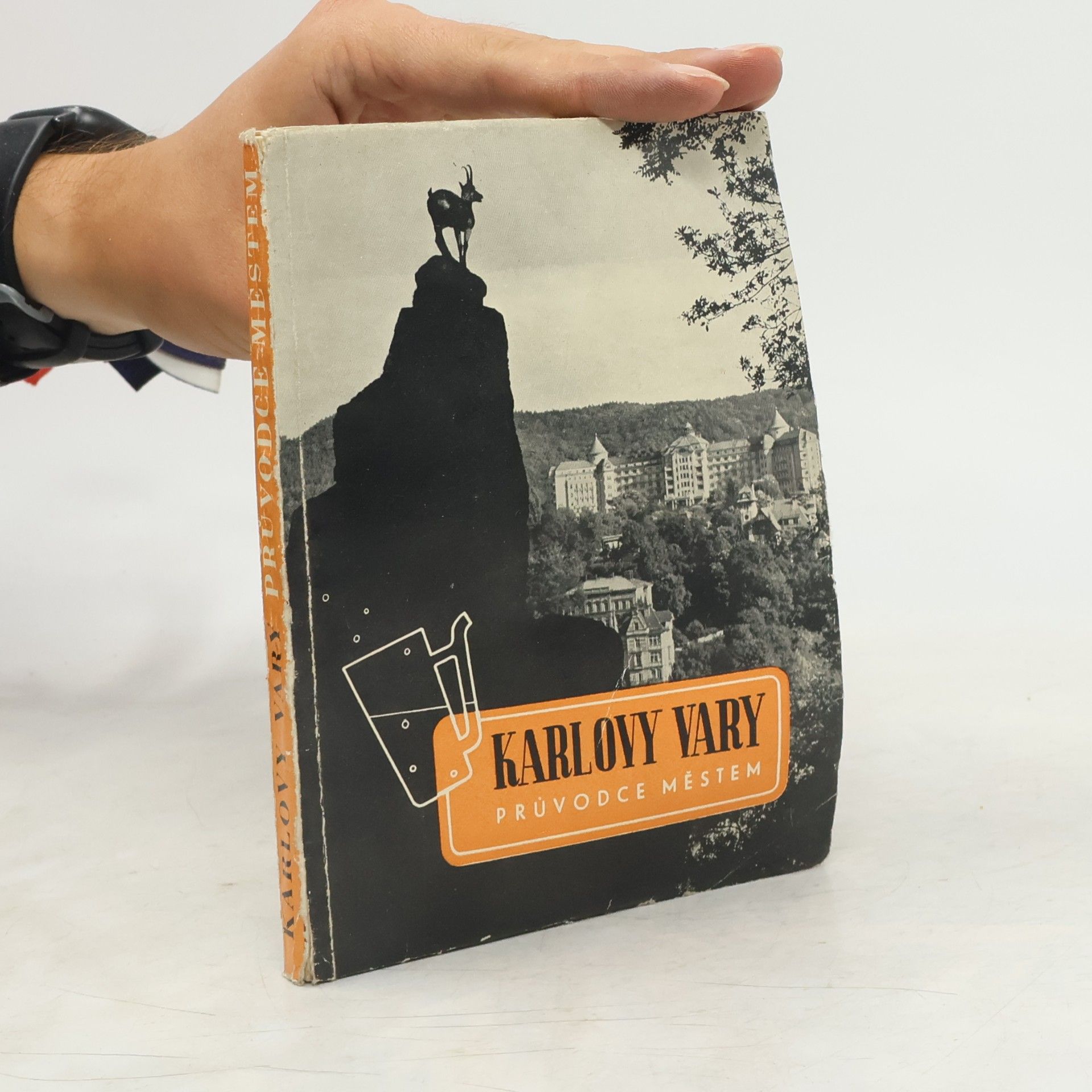Václav František Žanda Karlovy Vary. Průvodce městem