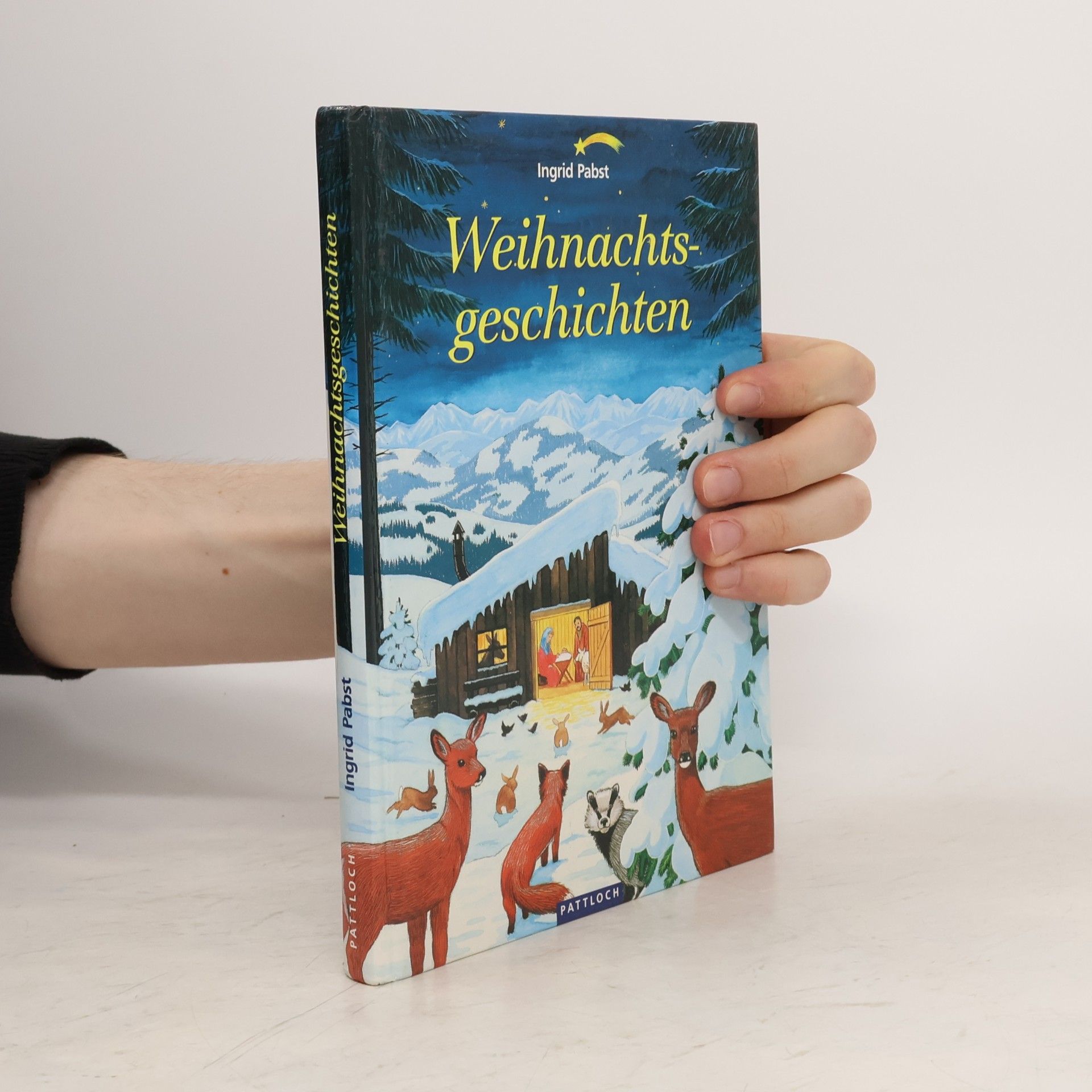 Ingrid Pabst Weihnachtsgeschichten
