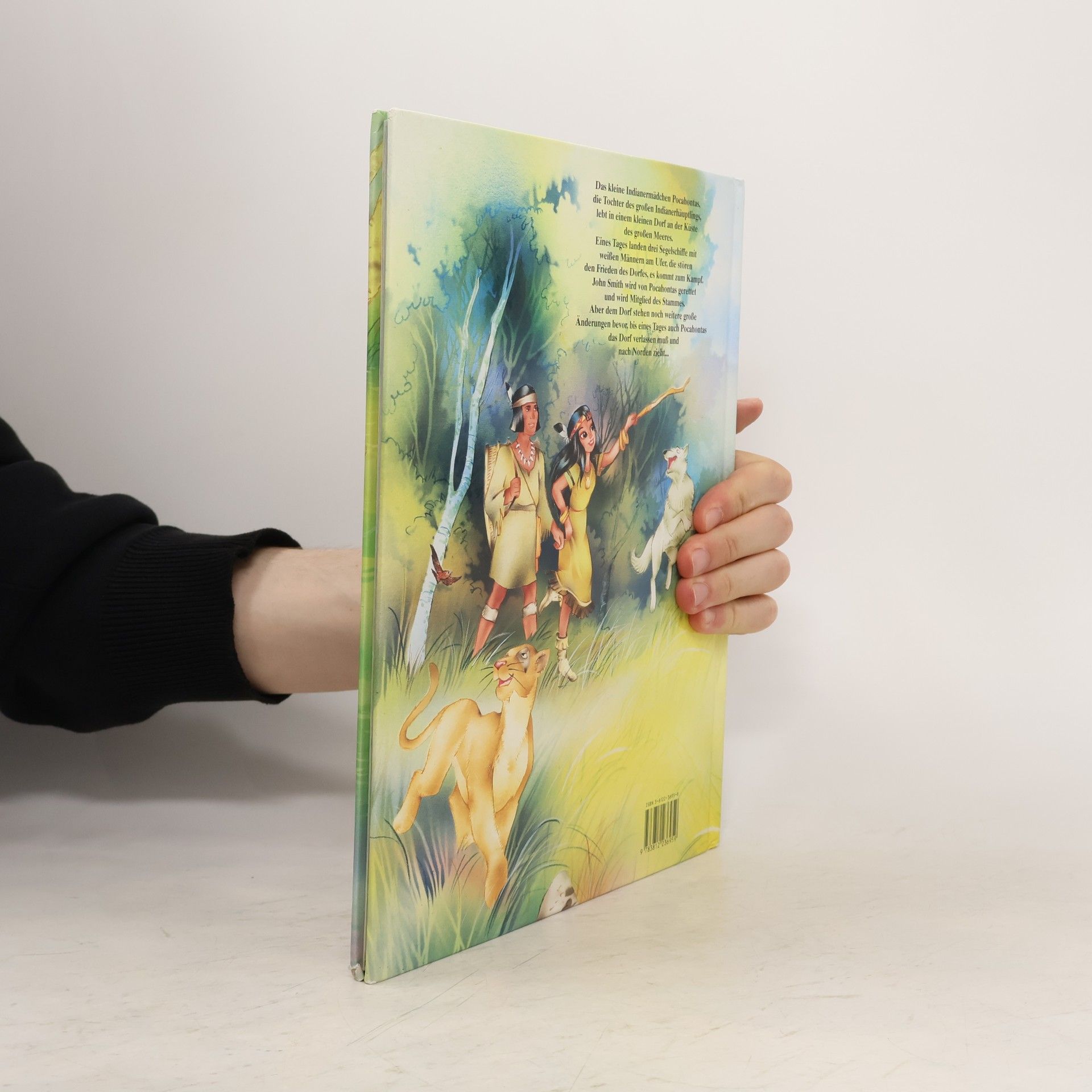 Collectif d'auteurs Pocahontas