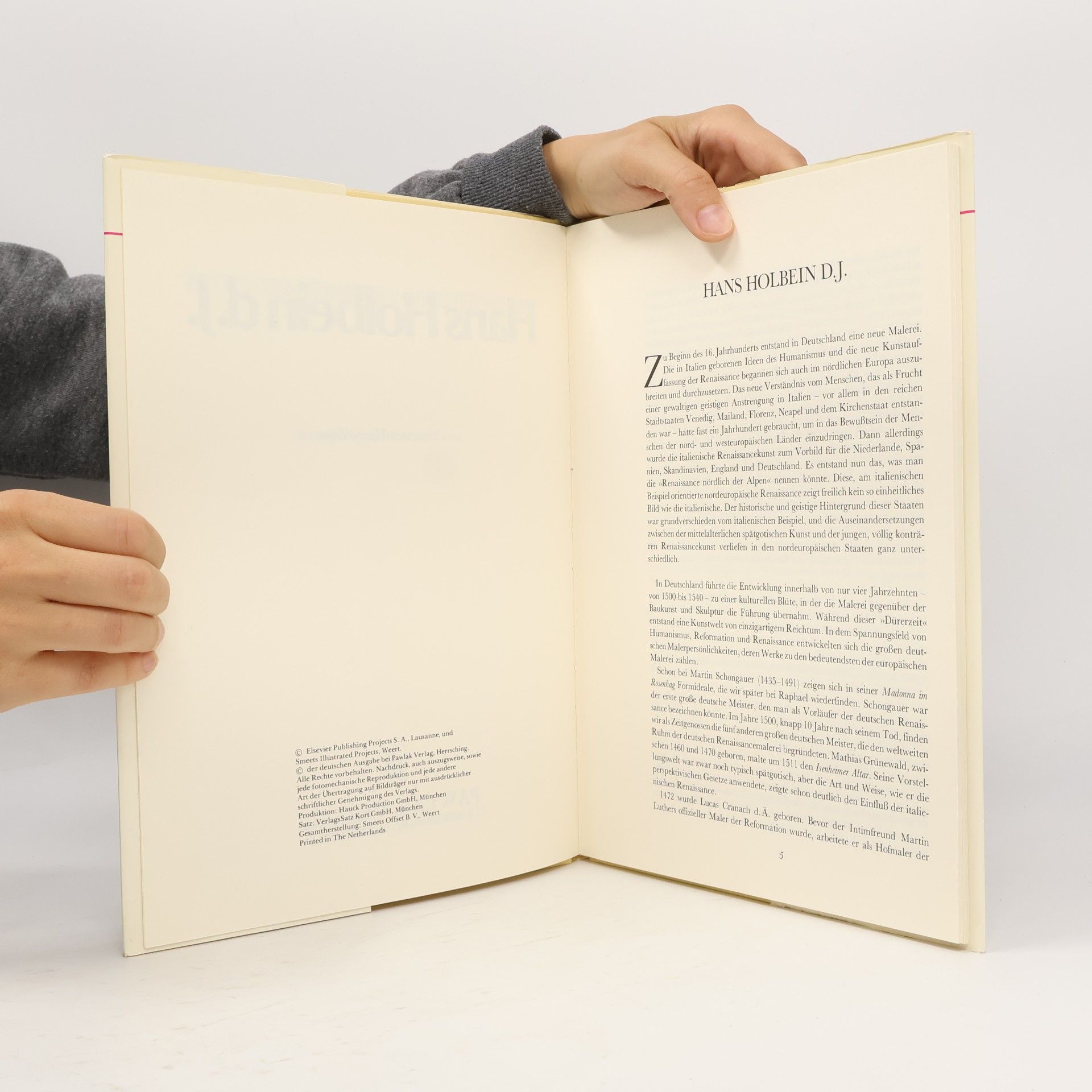Autorenkollektiv Hans Holbein d. J. mit 48 Farbtafeln