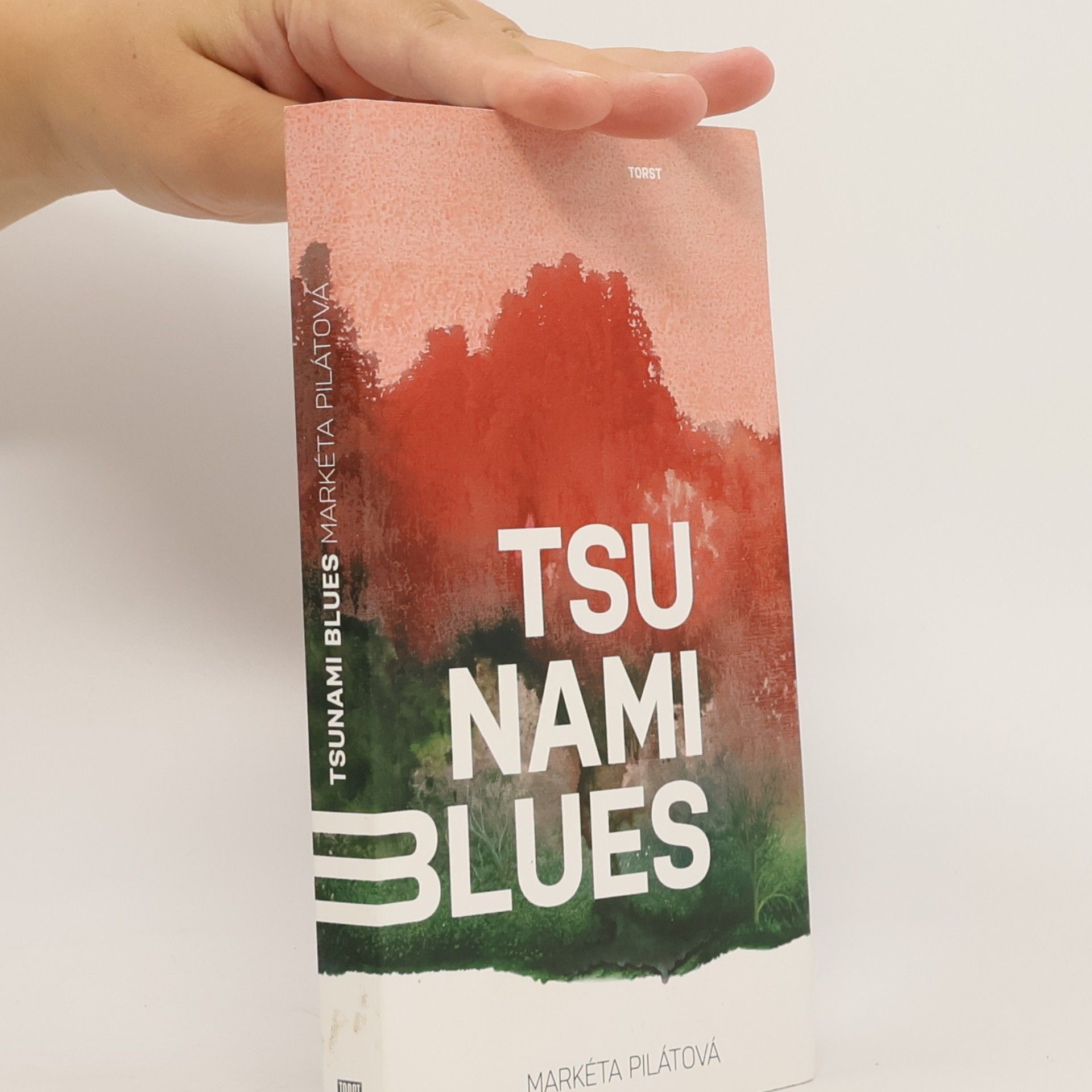 Markéta Pilátová Tsunami blues