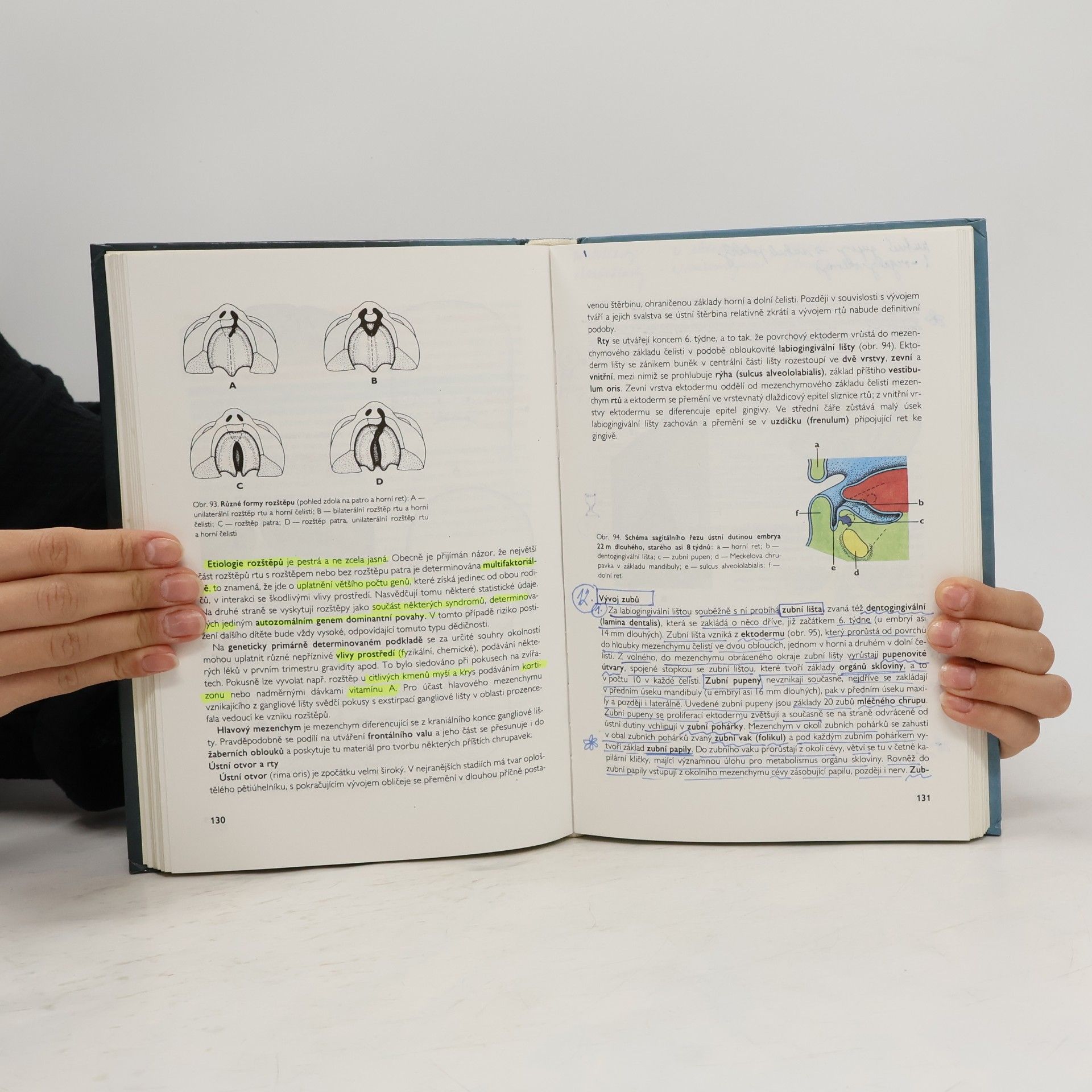 Zdeněk Vacek Embryologie pro pediatry. Učebnice pro lékařské fakulty