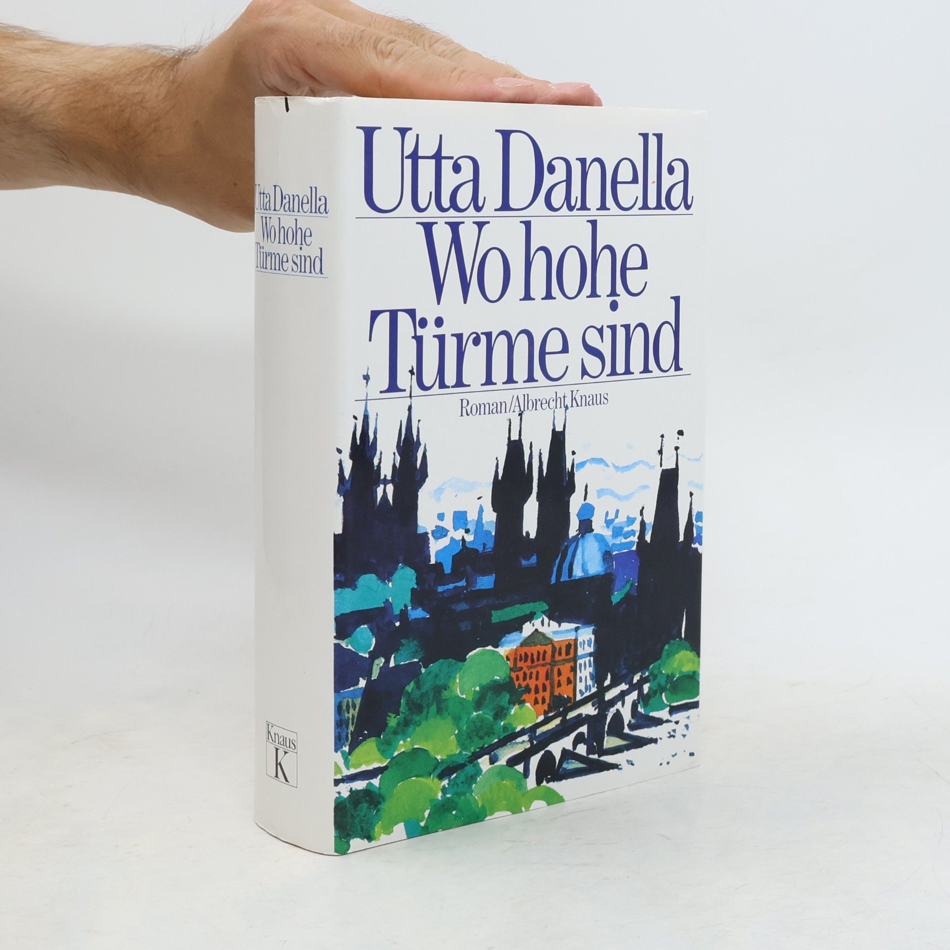 Utta Danella Wo hohe Türme sind