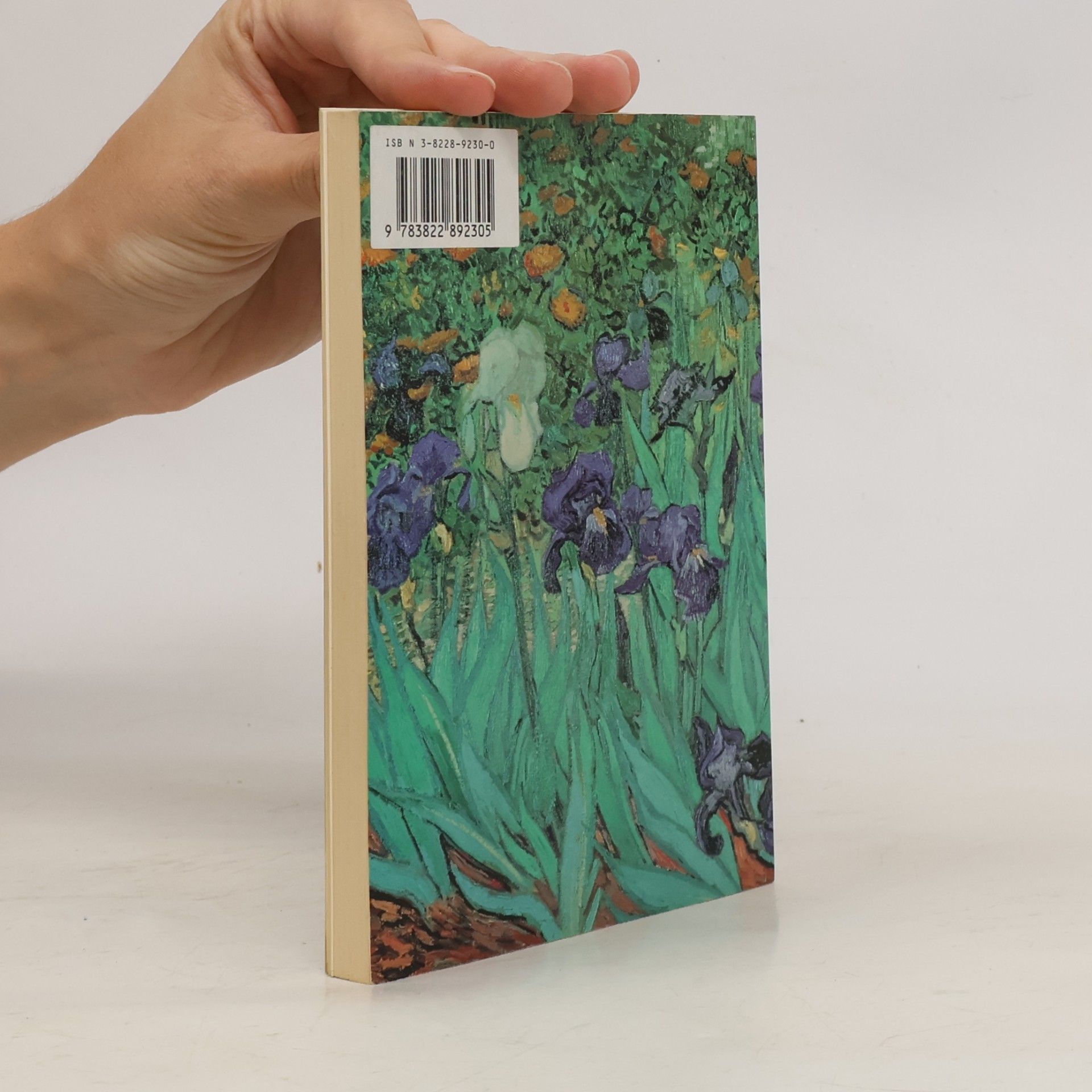 Vincent van Gogh Vincent van Gogh