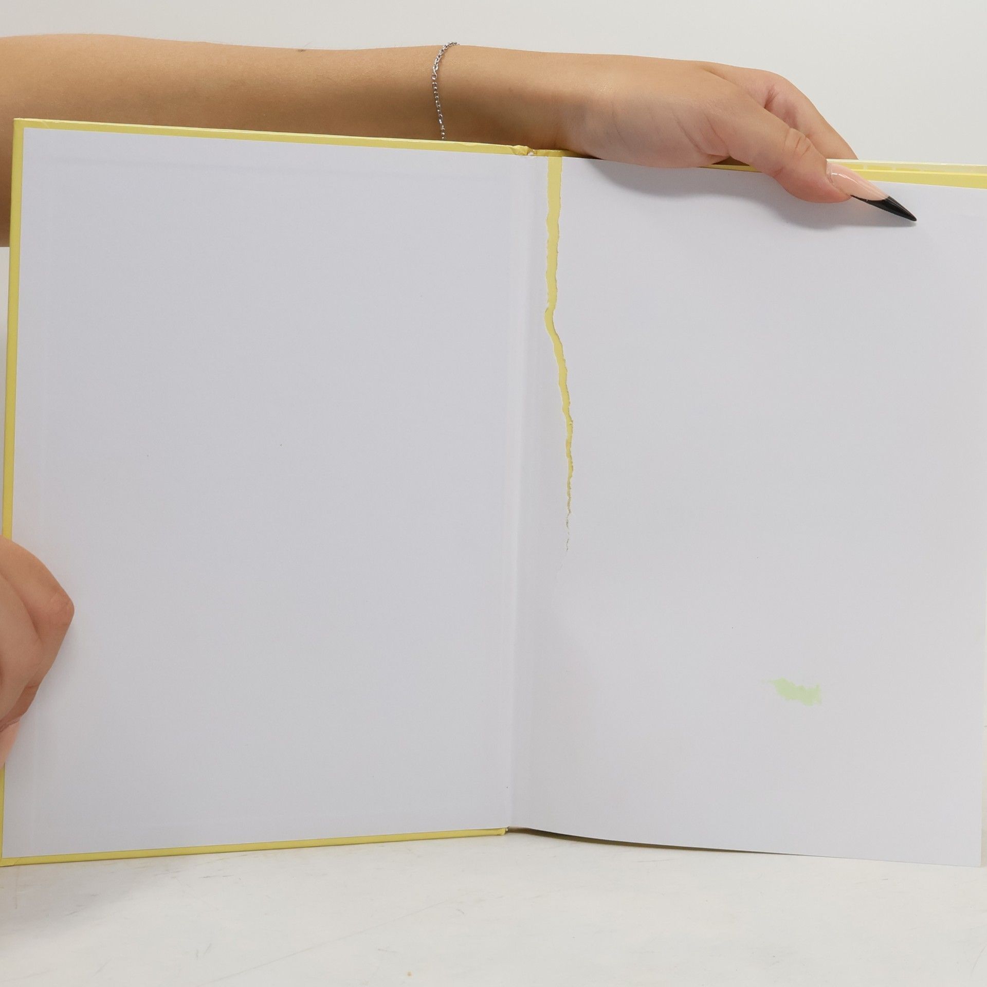 Various authors Bill a Ben Chlapci z kvetináča a ich kamaráti