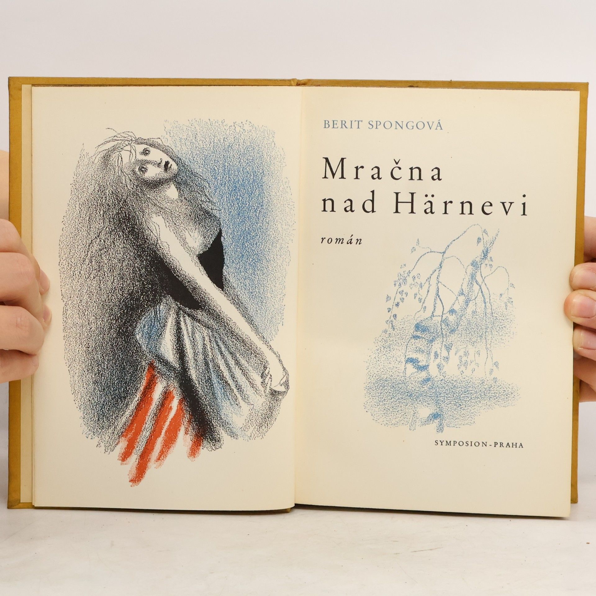 Berit Spong Mračna nad Härnevi