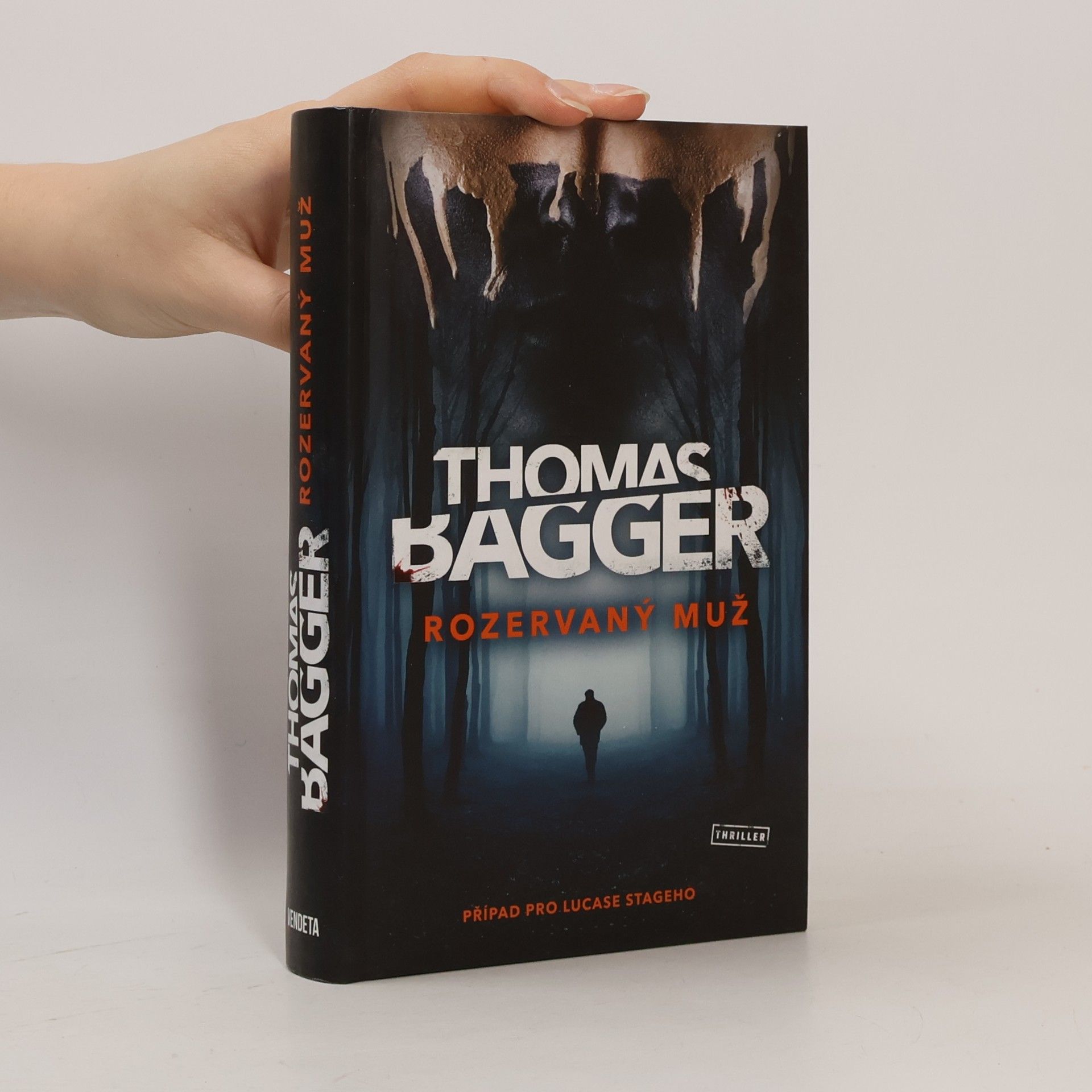 Thomas Bagger Rozervaný muž
