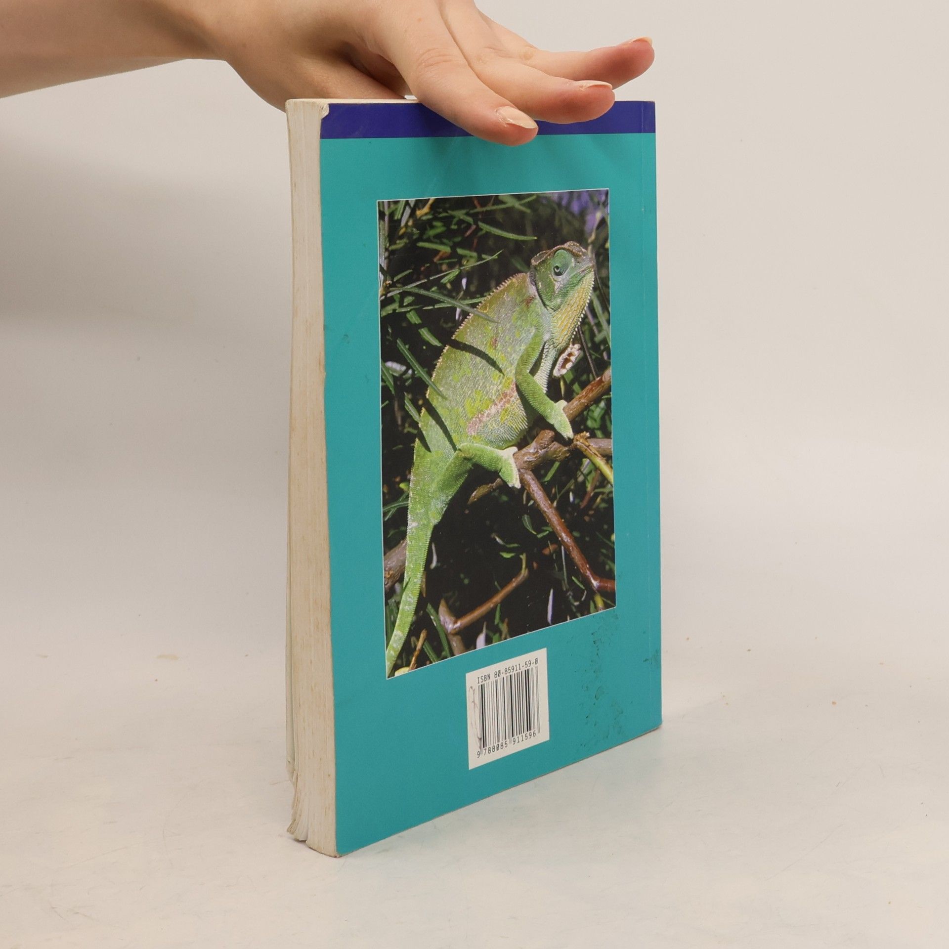 Richard Kraus Chameleoni a gekoni