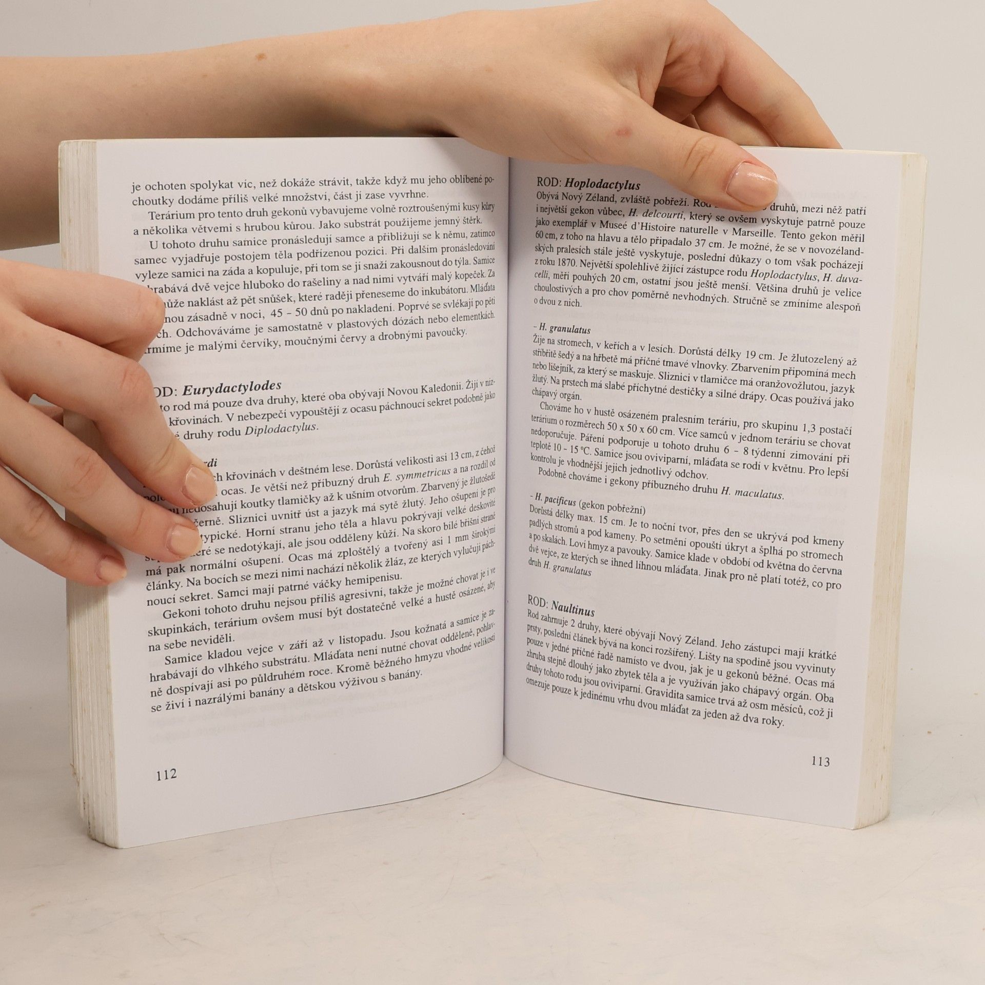 Richard Kraus Chameleoni a gekoni