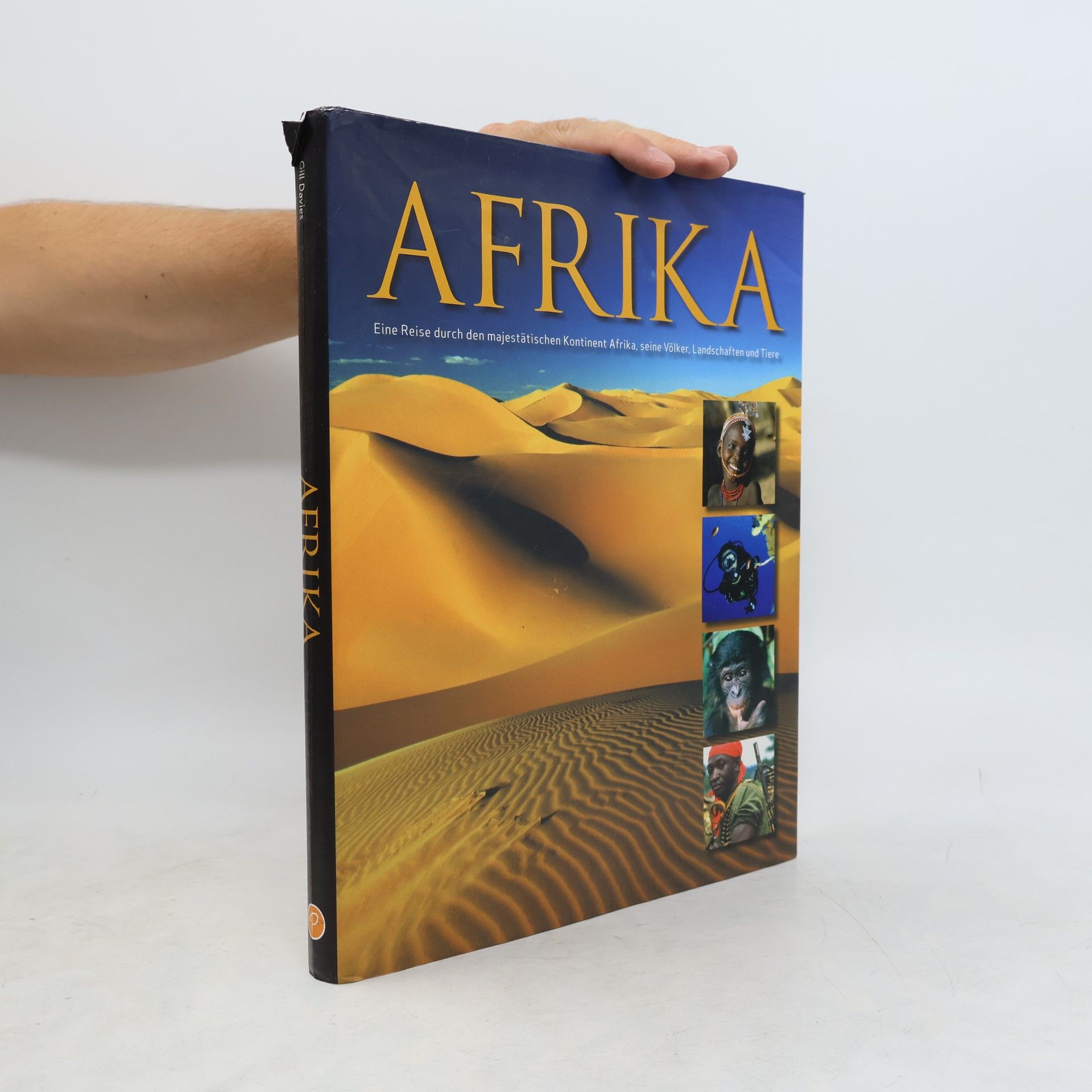 Gill Davies Afrika