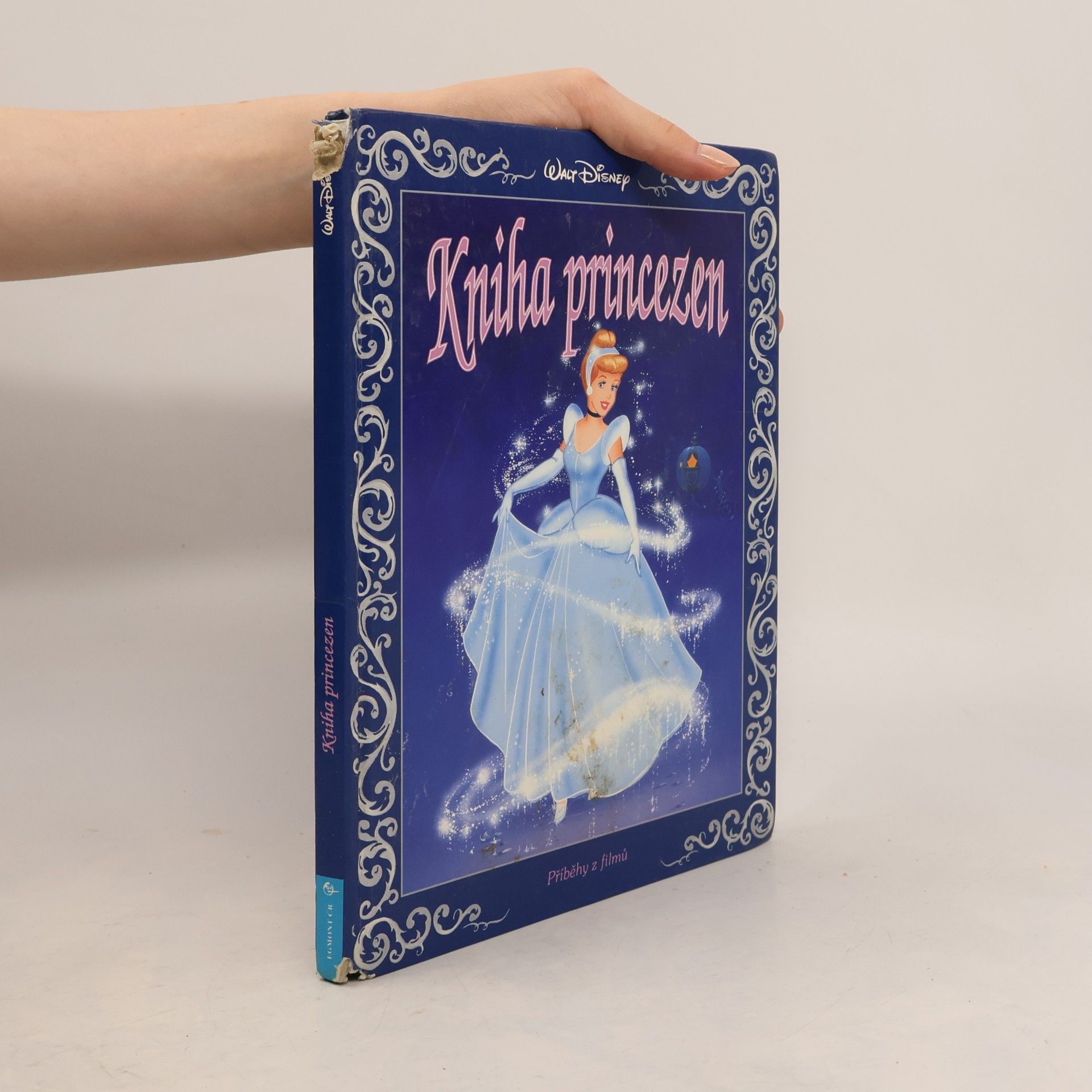 Ann Braybrooks Kniha princezen
