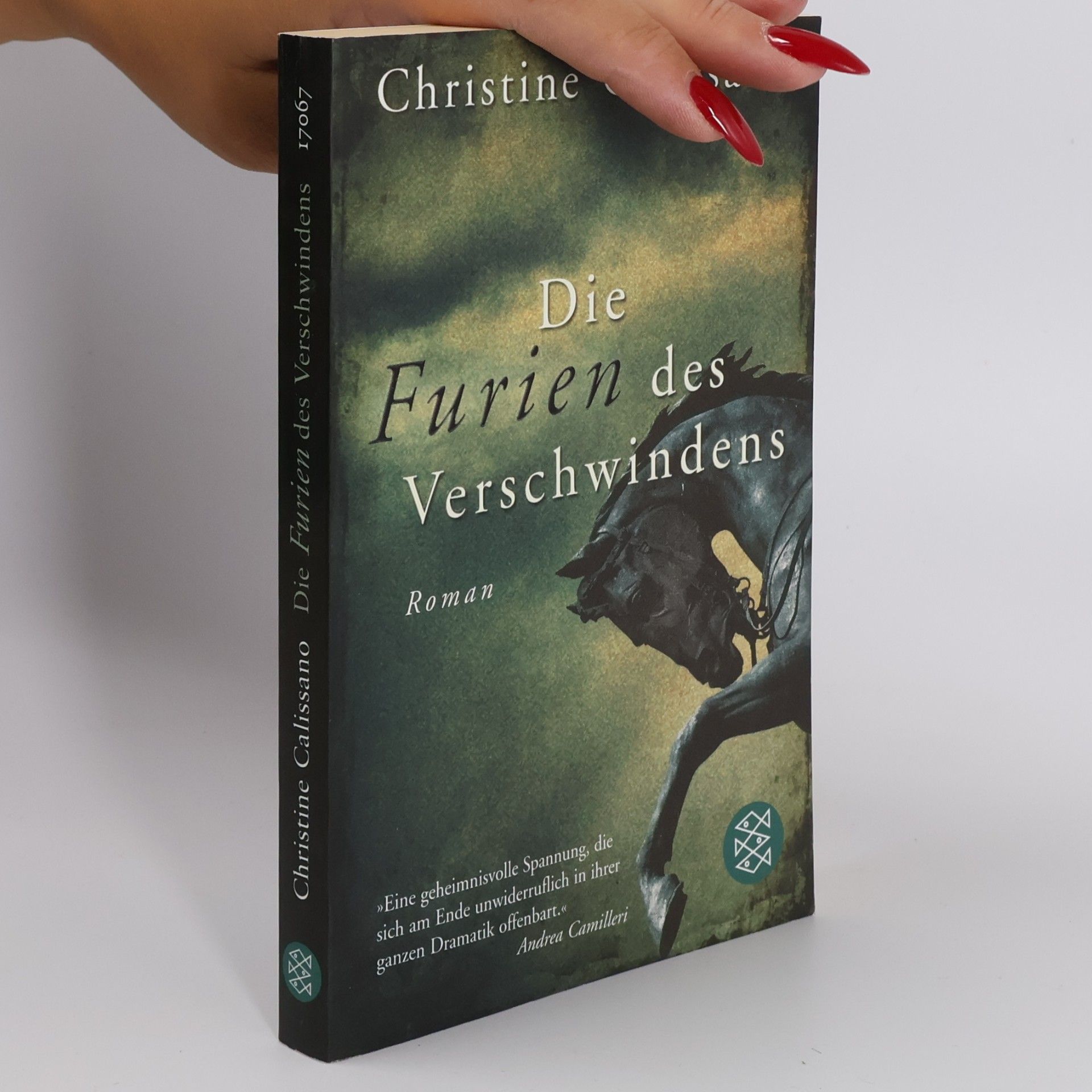 Christine Calissano Die Furien des Verschwindens