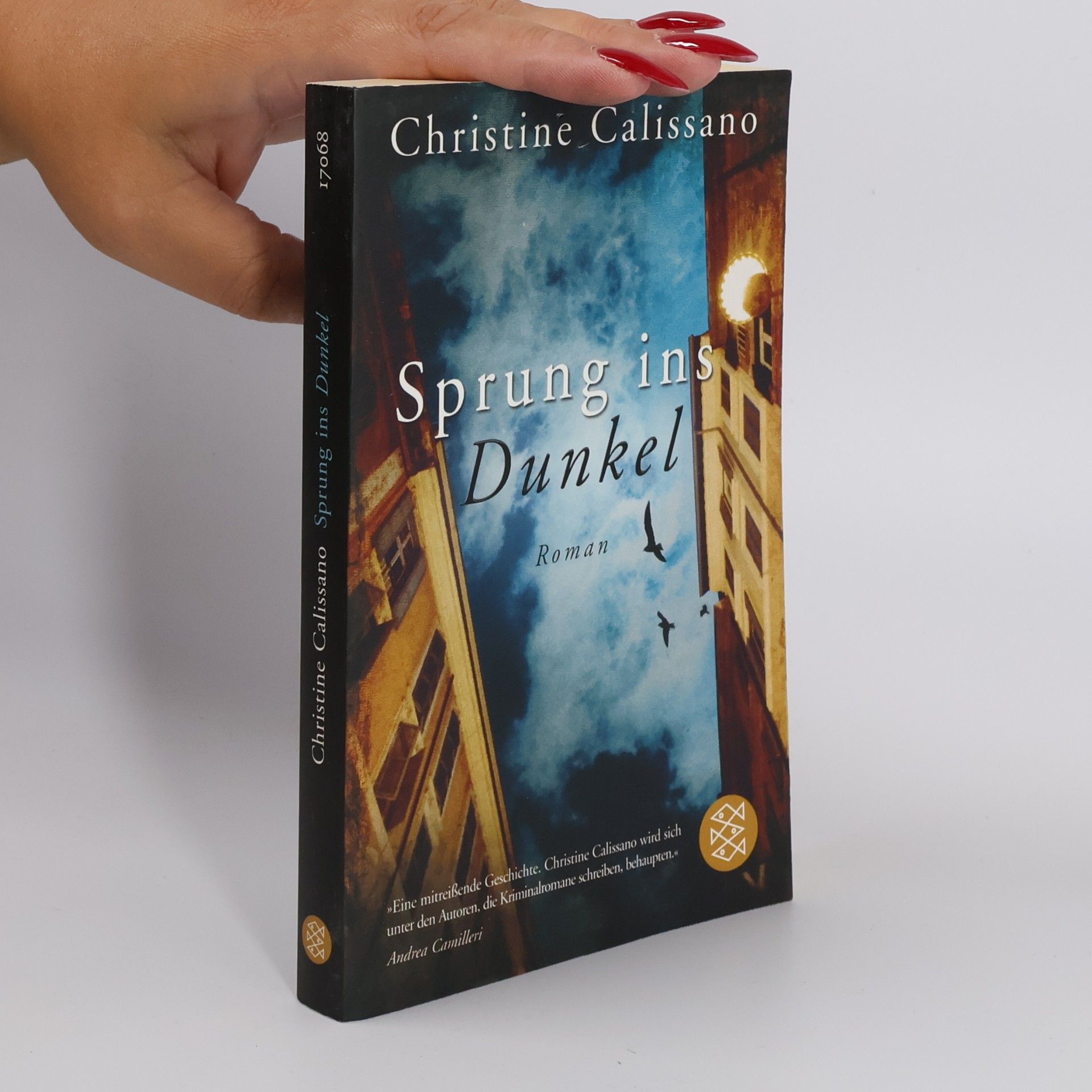 Christine Calissano Sprung ins Dunkel
