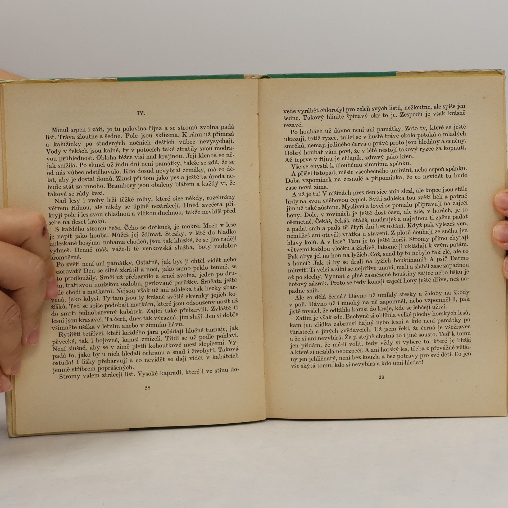 Various authors Obrázky z lesů a polí