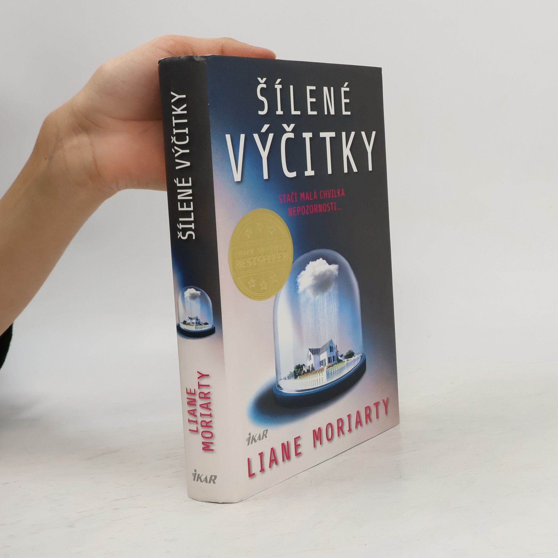Liane Moriarty Šílené výčitky