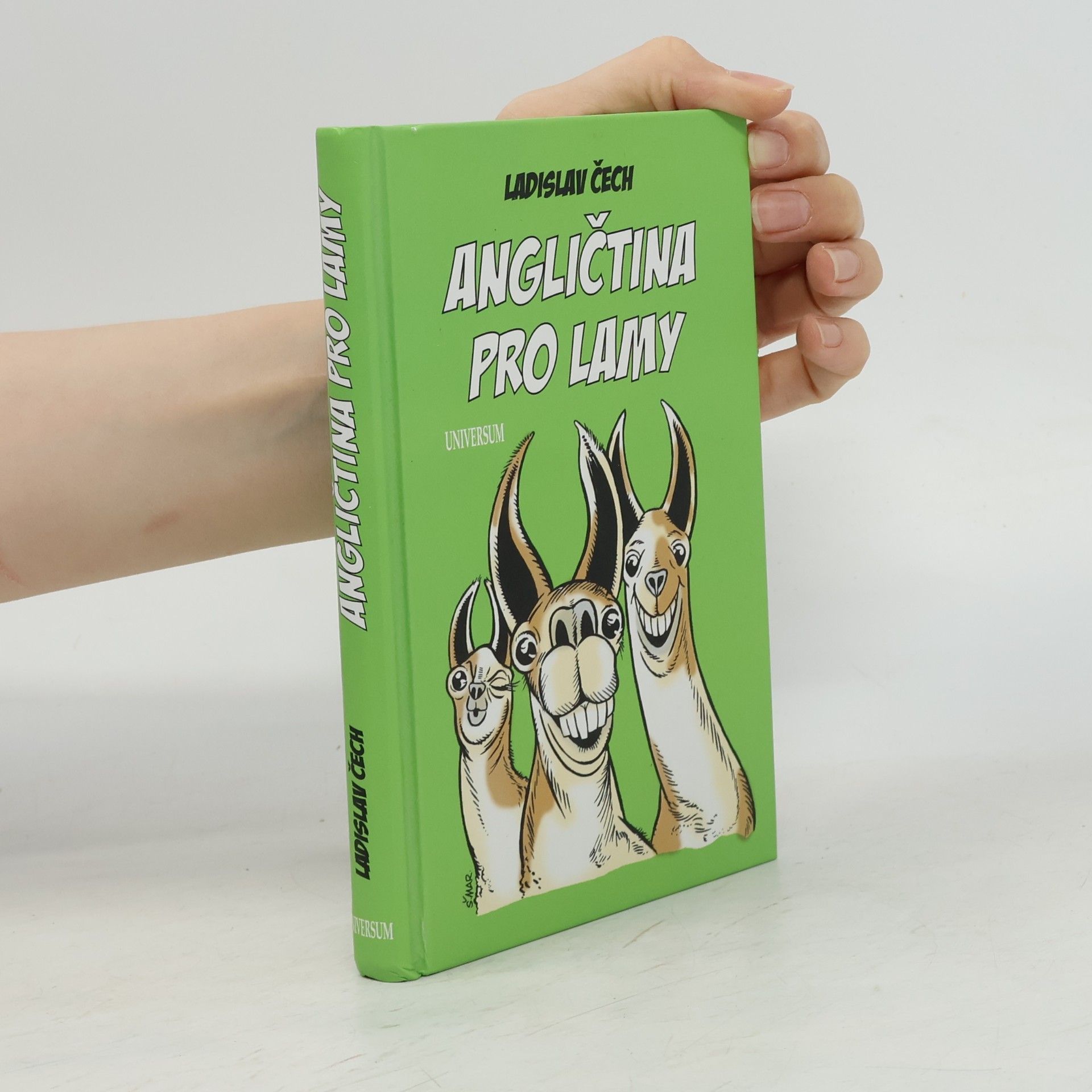 Ladislav Čech Angličtina pro lamy