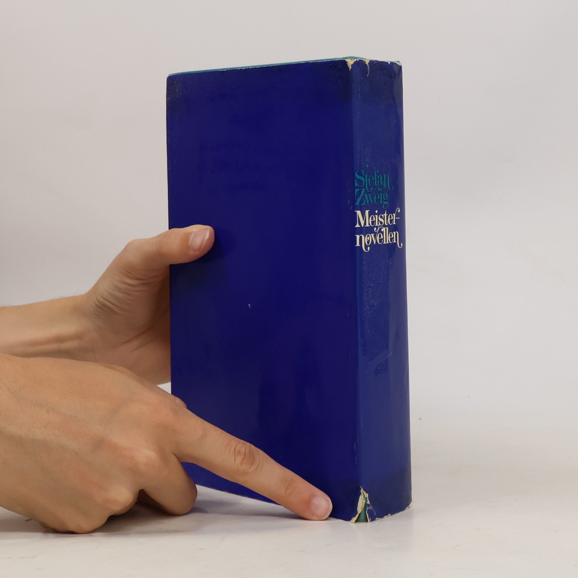 Stefan Zweig Meisternovellen
