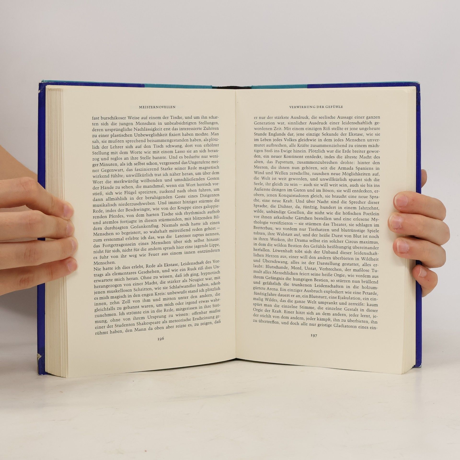 Stefan Zweig Meisternovellen