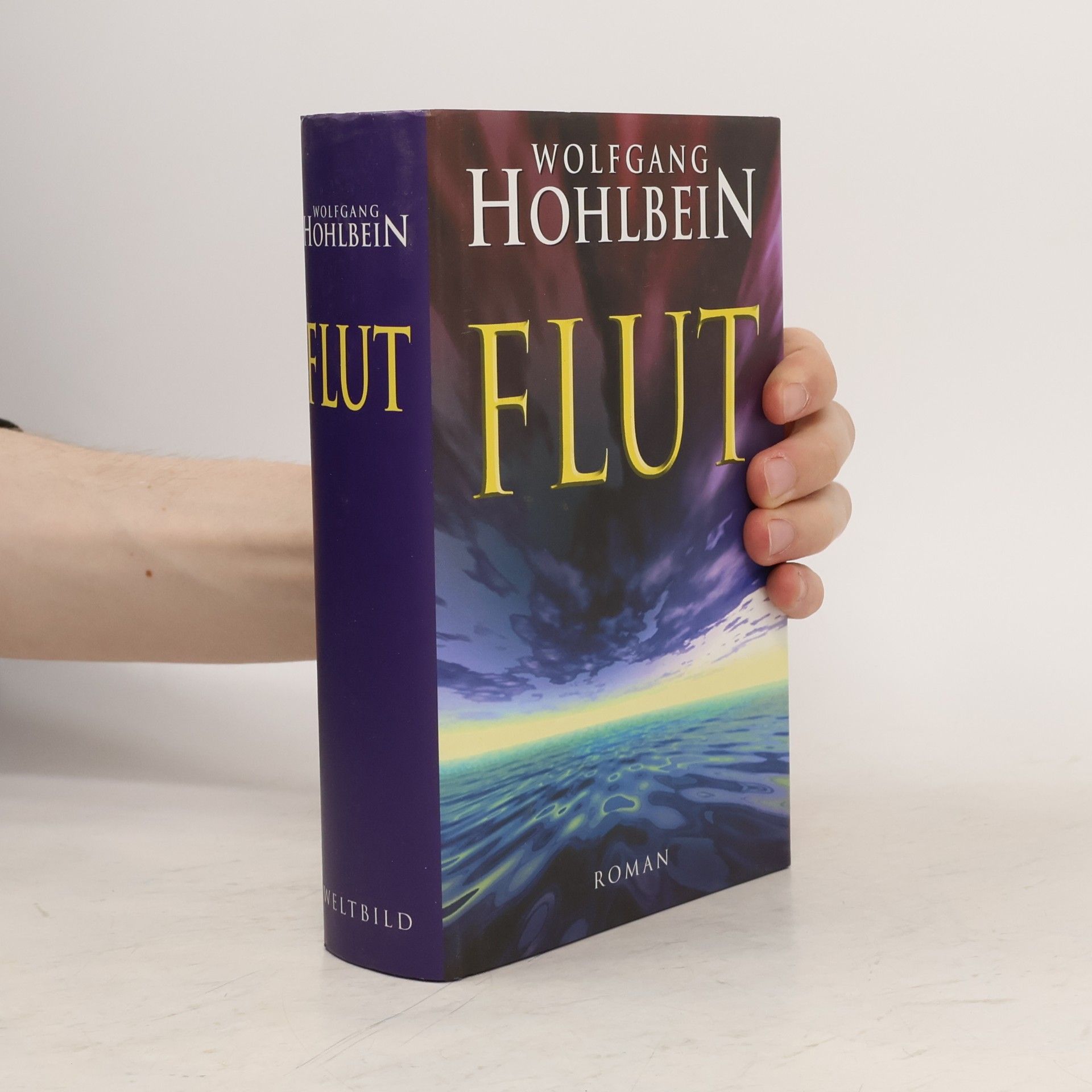 Wolfgang Hohlbein Flut