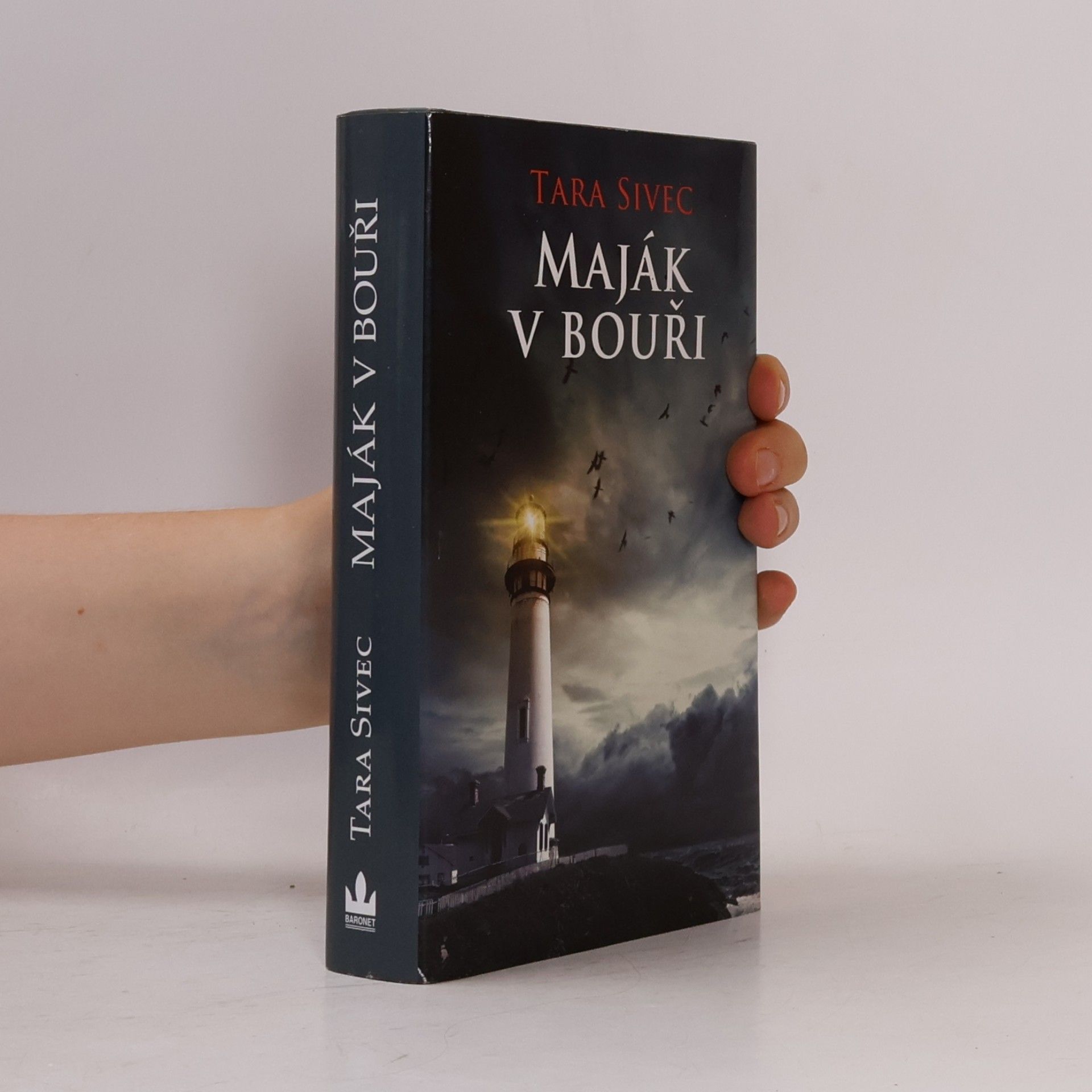Tara Sivec Maják v bouři
