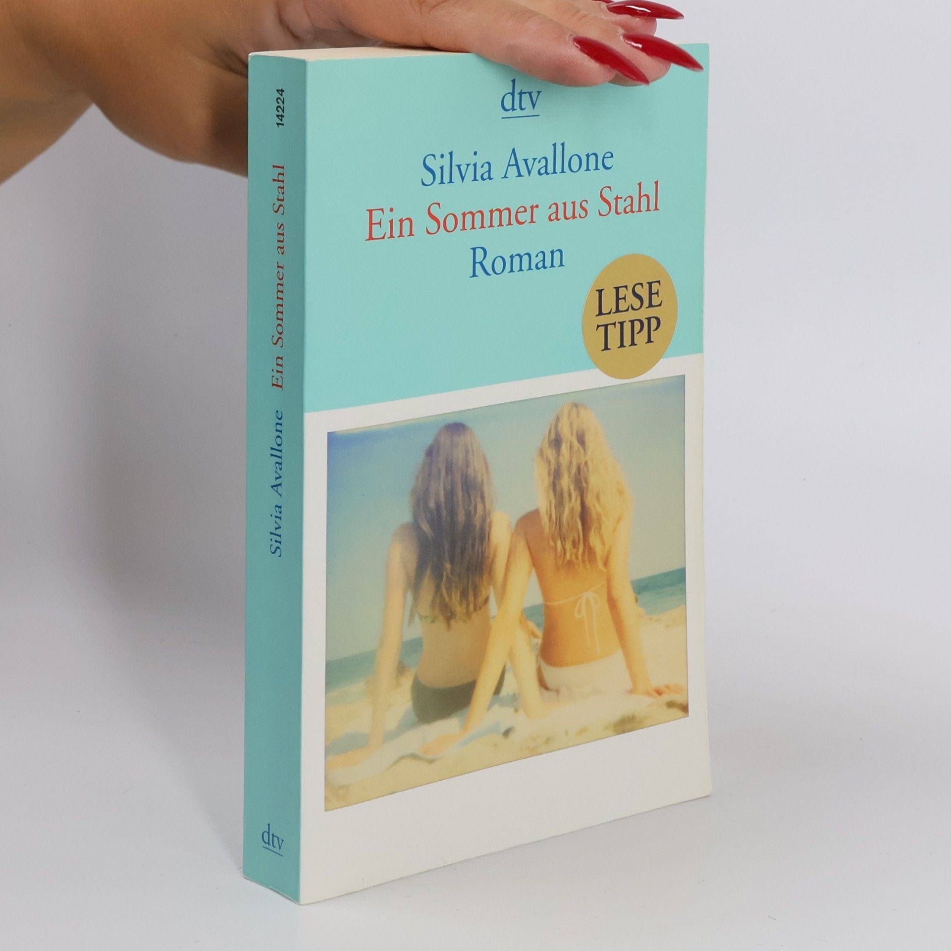 Silvia Avallone Ein Sommer aus Stahl