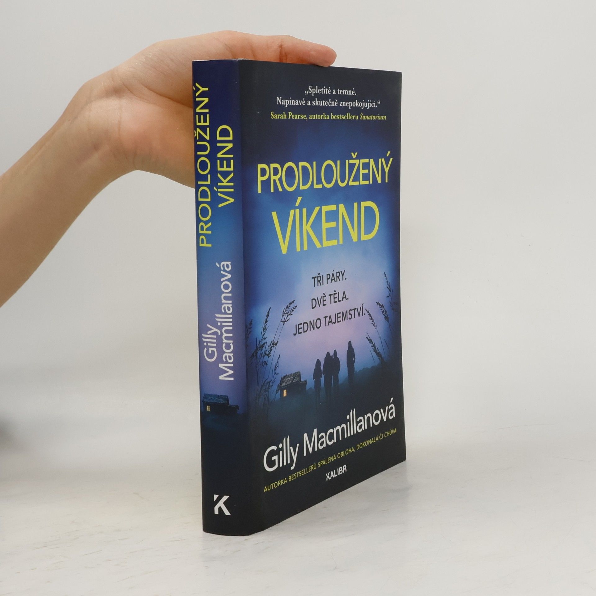Gilly Macmillan Prodloužený víkend
