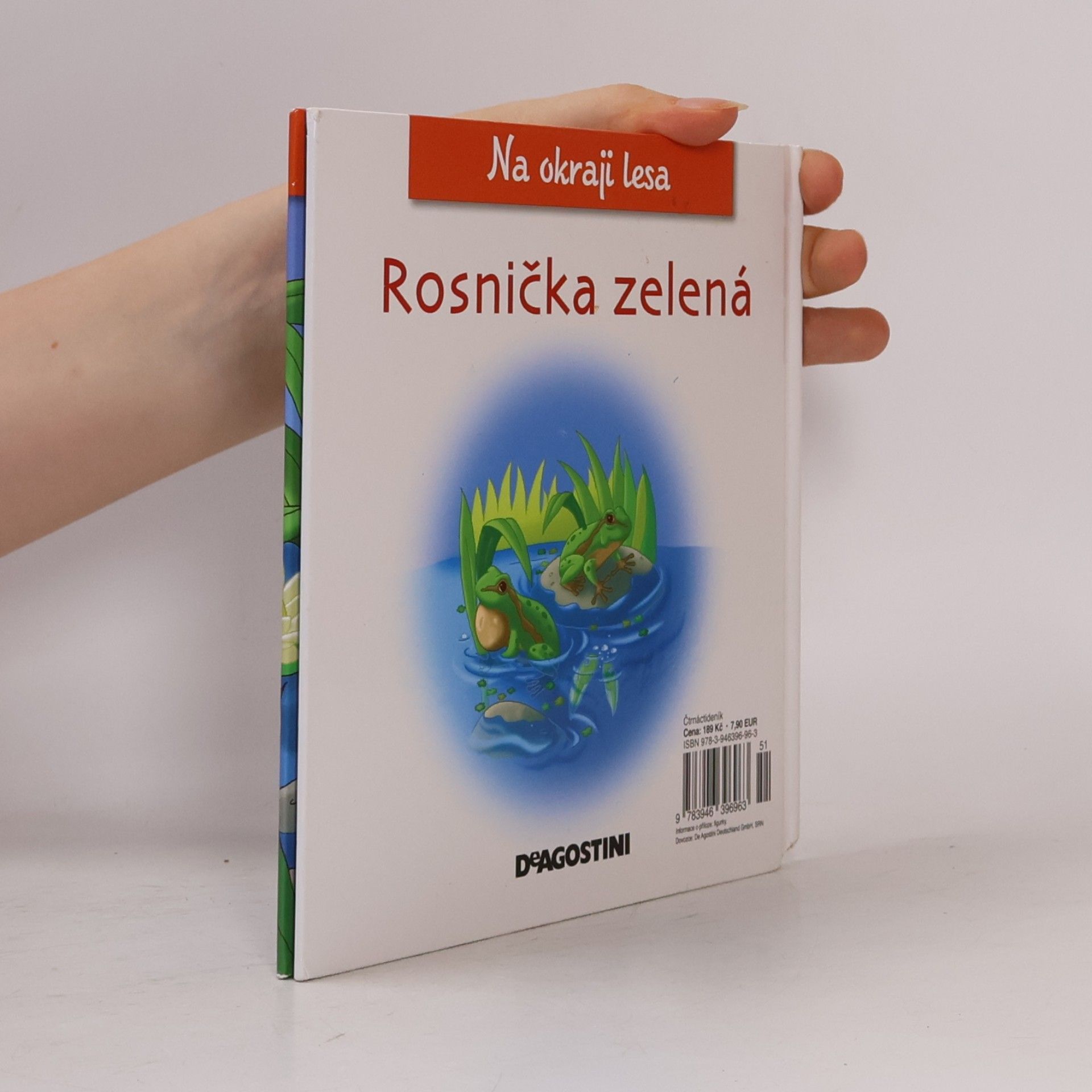 Kolektiv autorů Na okraji lesa 35. Rosnička zelená