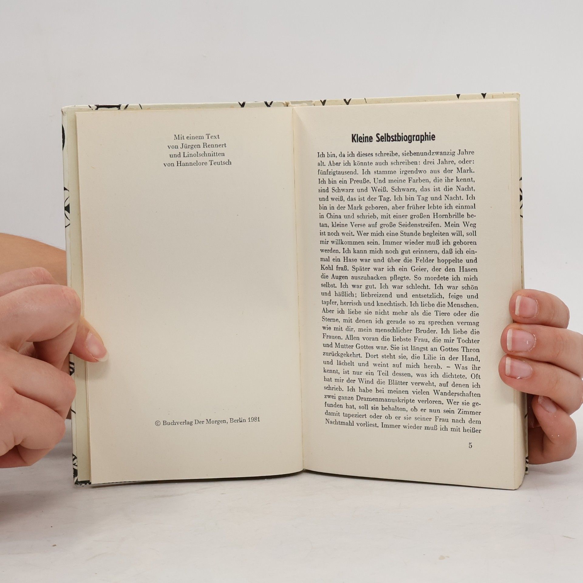 Collectif d'auteurs Klabund. Erzählungen und Grotesken